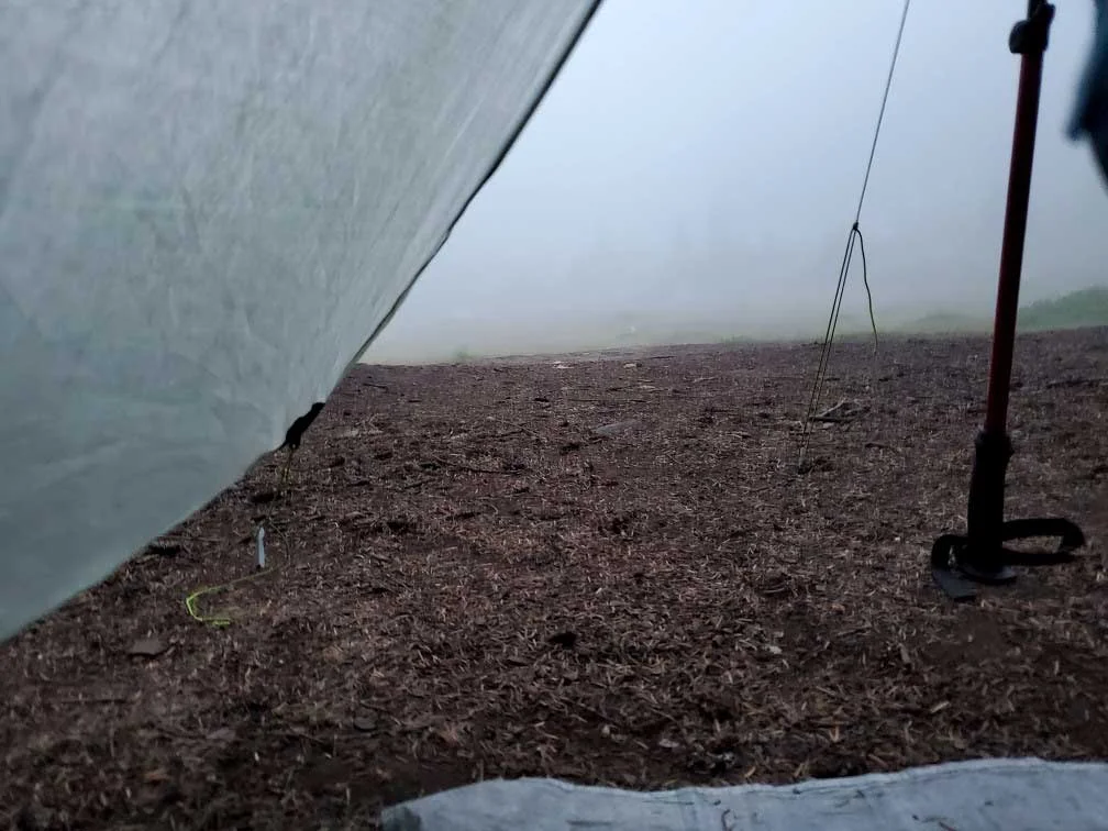 pct-day-89-misty-tent.jpg