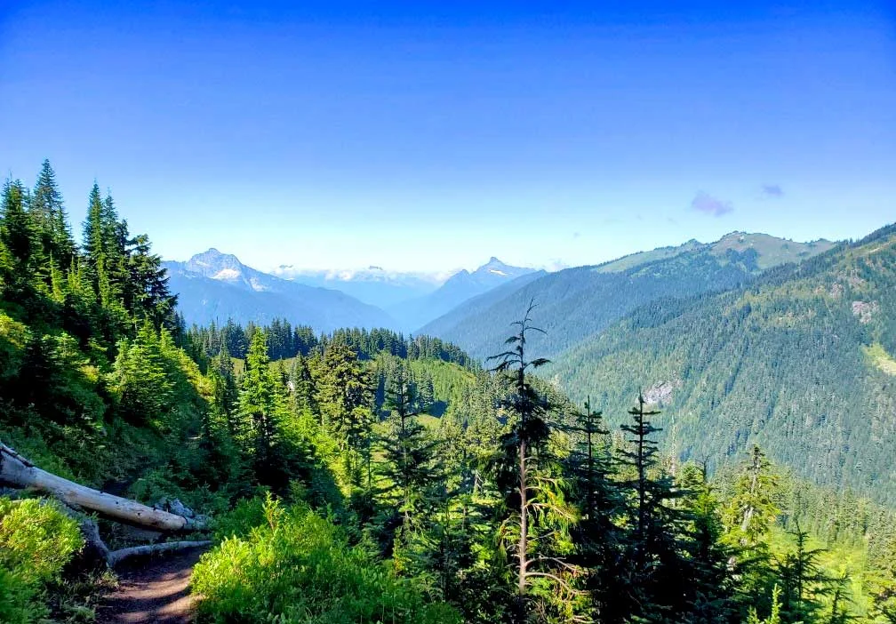 pct-day-91-mountains.jpg