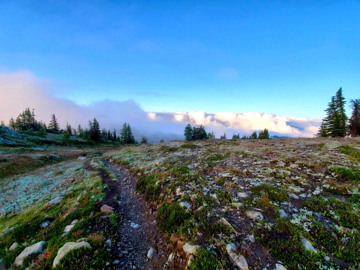 pct-trail-to-mountains.jpg