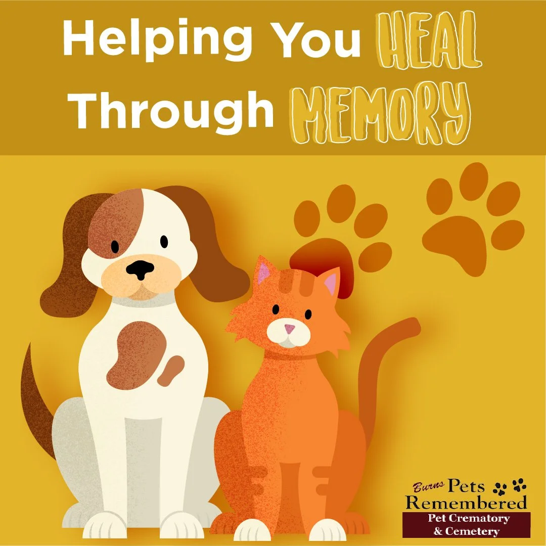 pet-graphic-01.jpg