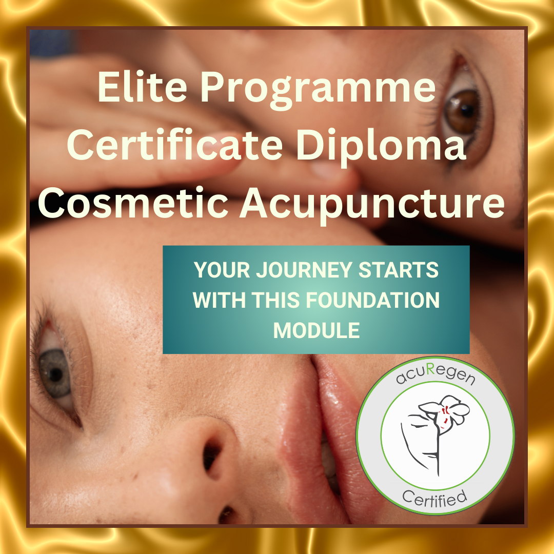 JOURNEY STARTS Certificate diploma elite IG.png