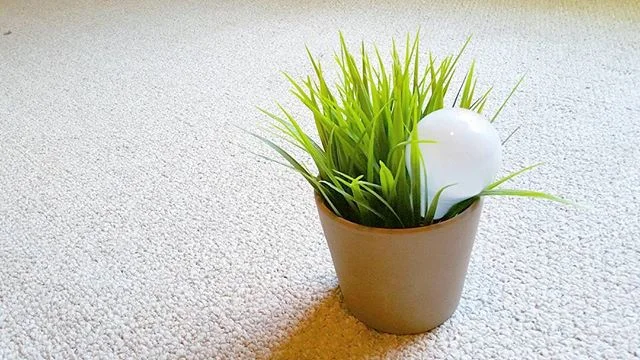 &quot;Tomorrow: Greener and Brighter
.
.
.
.
.
.
.
.
.
.
.
.
.
.
.
.
.
.
.
.
#picoftheday #green #sustainable #energy #light #renewable #photography #guerilla #advertising