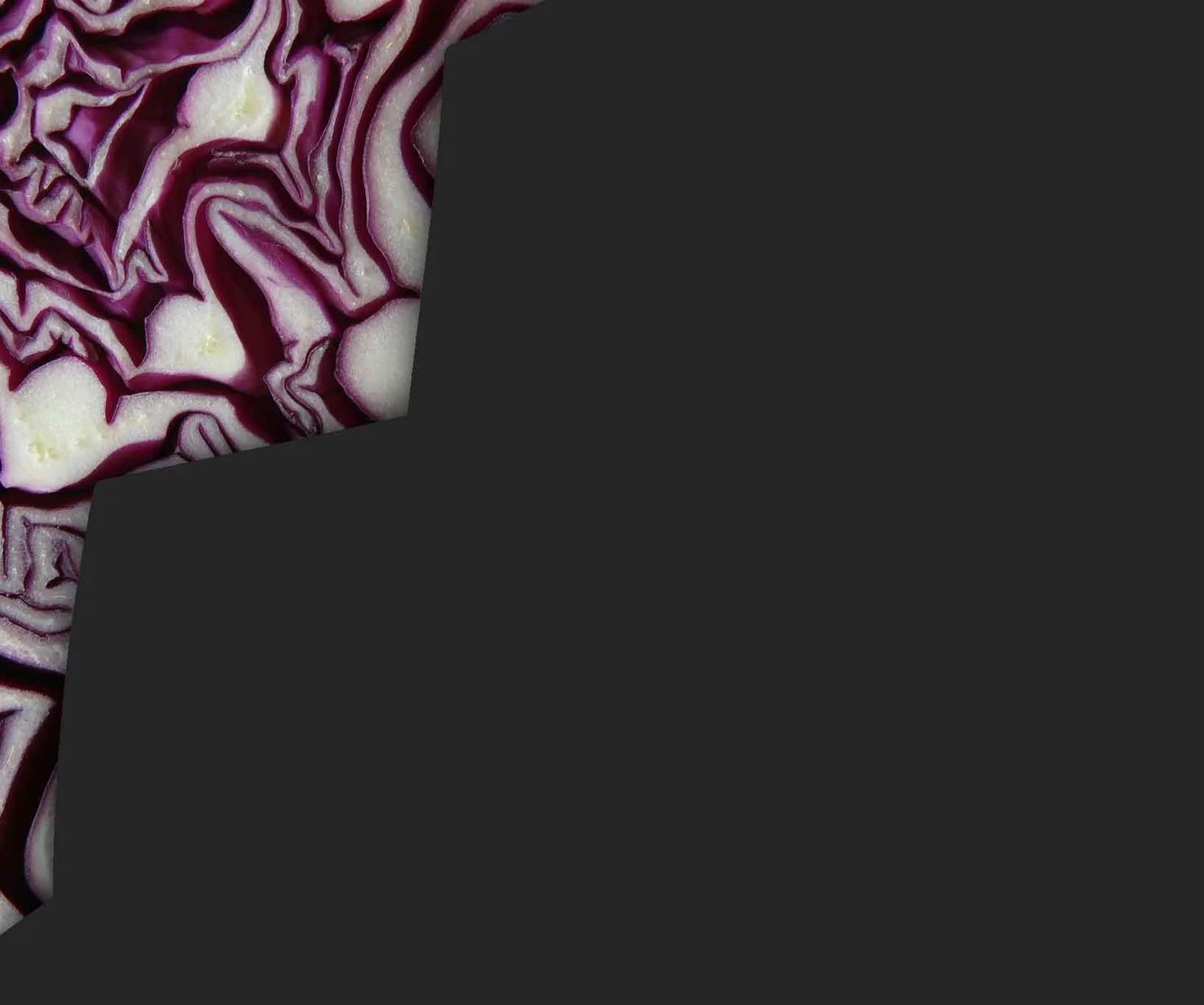red-cabbage-bg-dark_1.jpg