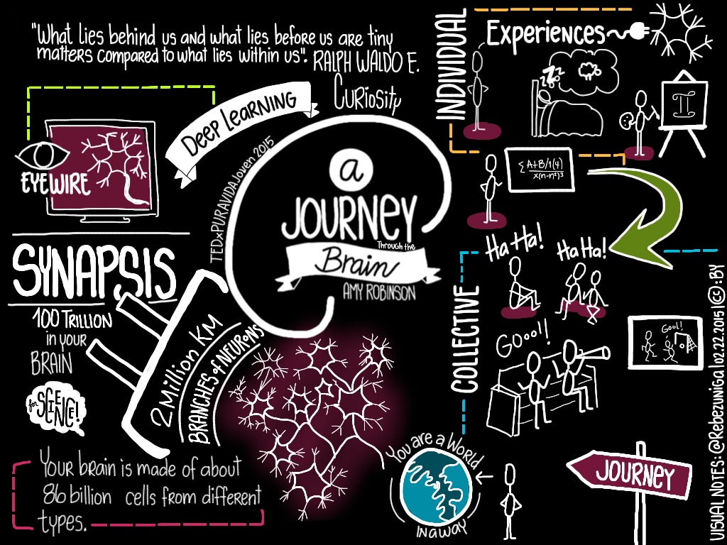 a-journey-through-the-brain-by-amy-robinson_16422499620_o.jpg