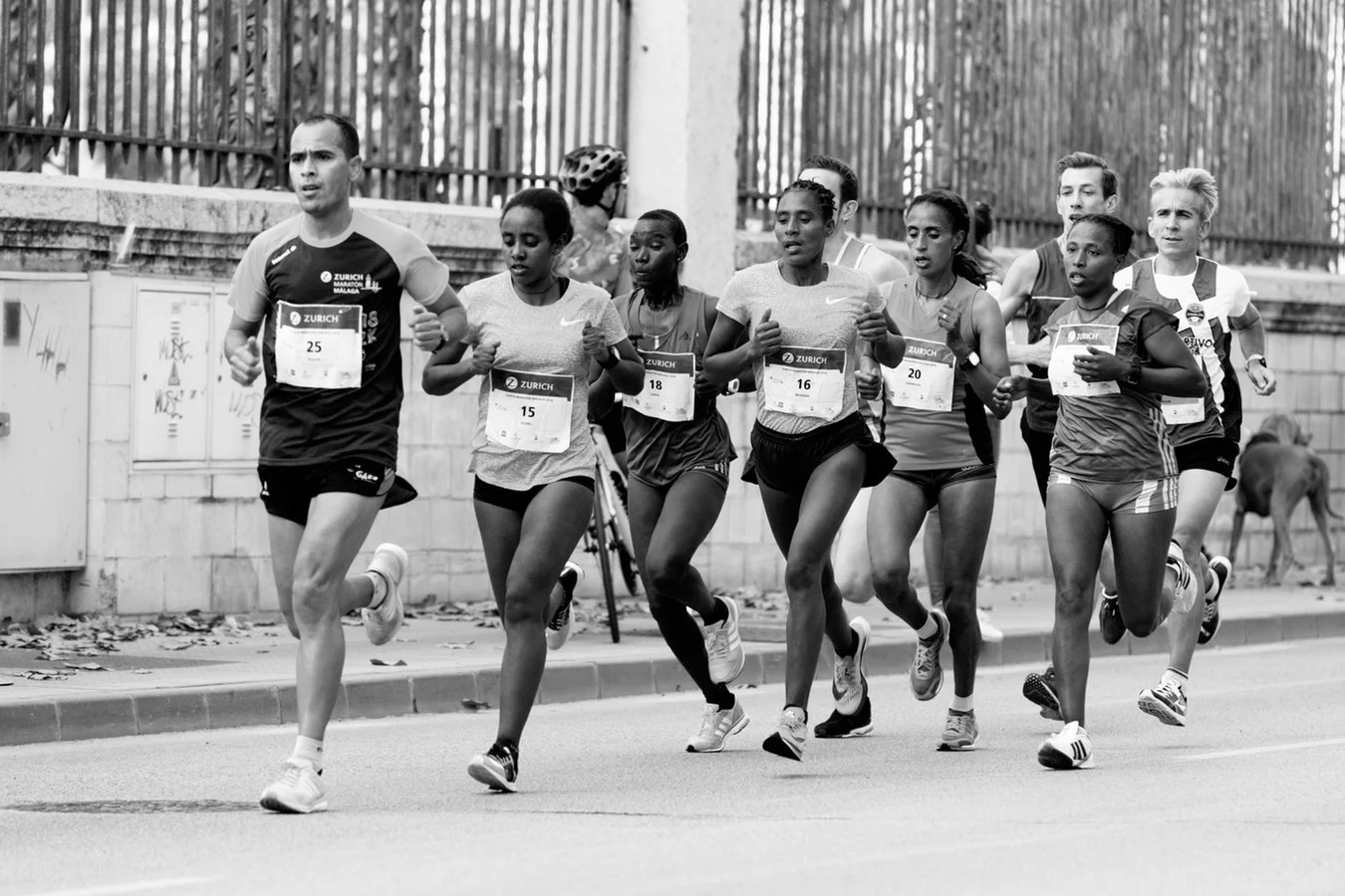 IC - ARTICLE - MARATHON NOT A SPRINT photo-1550344532-c8d65ad8c477.jpg