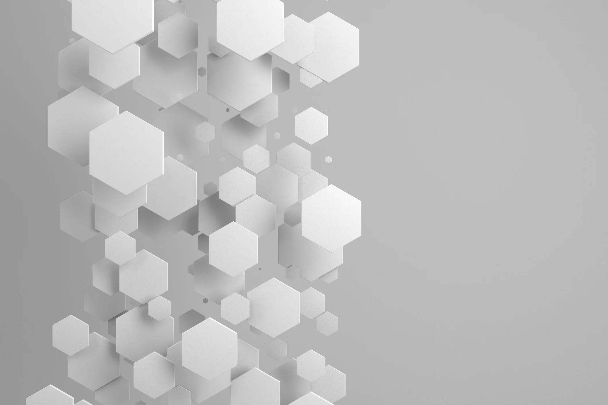 Team — Humble Bee Studios, image size:2121x1414