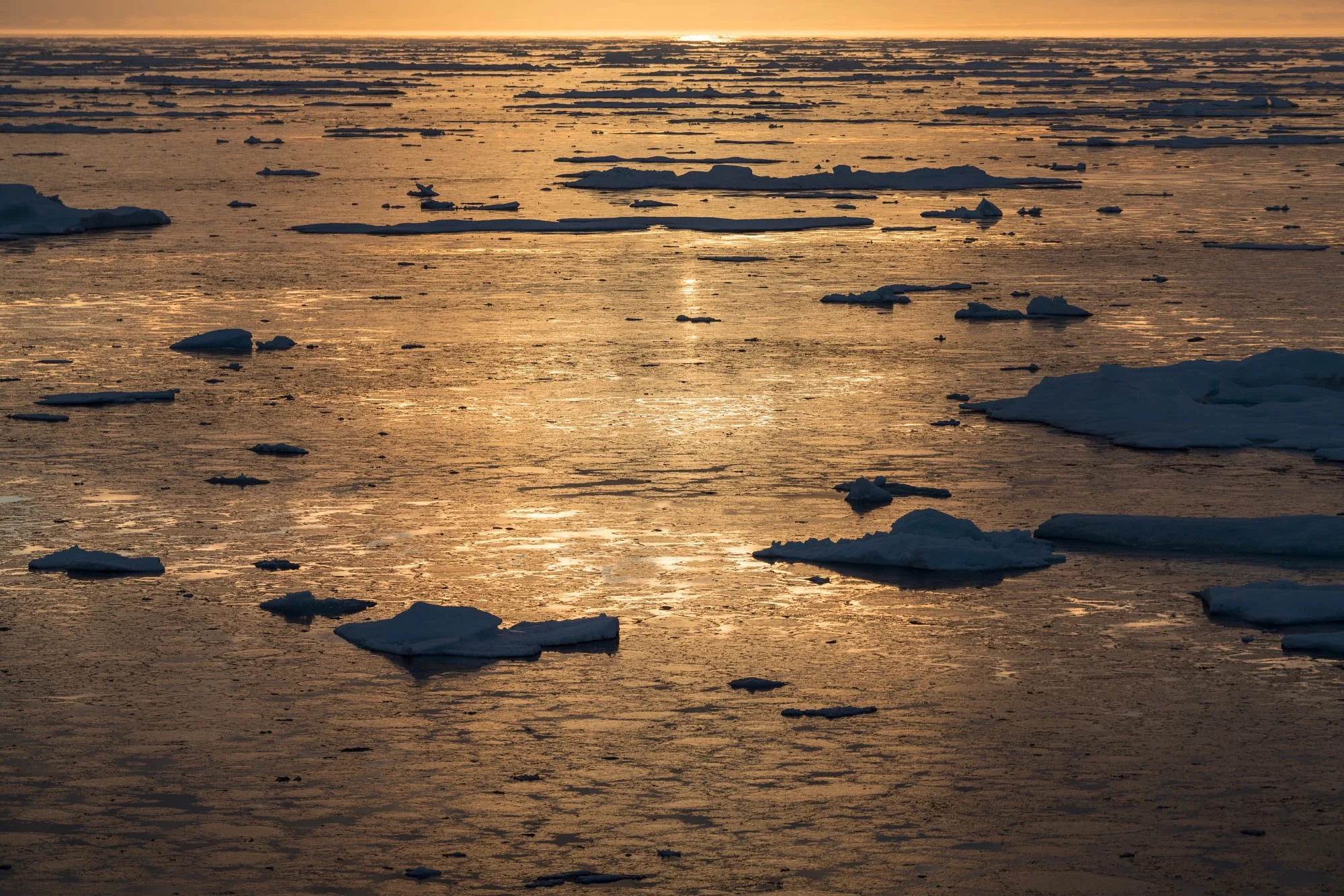 Frozen Sunrise