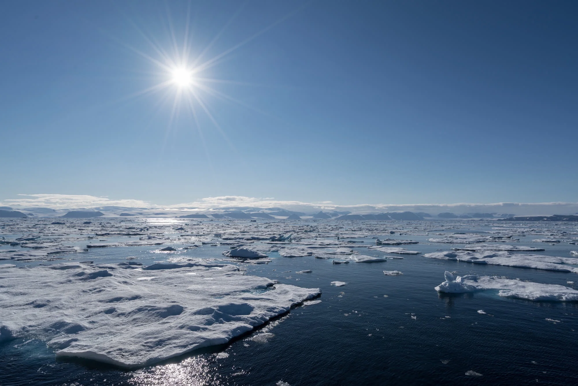 Arctic Summer Day