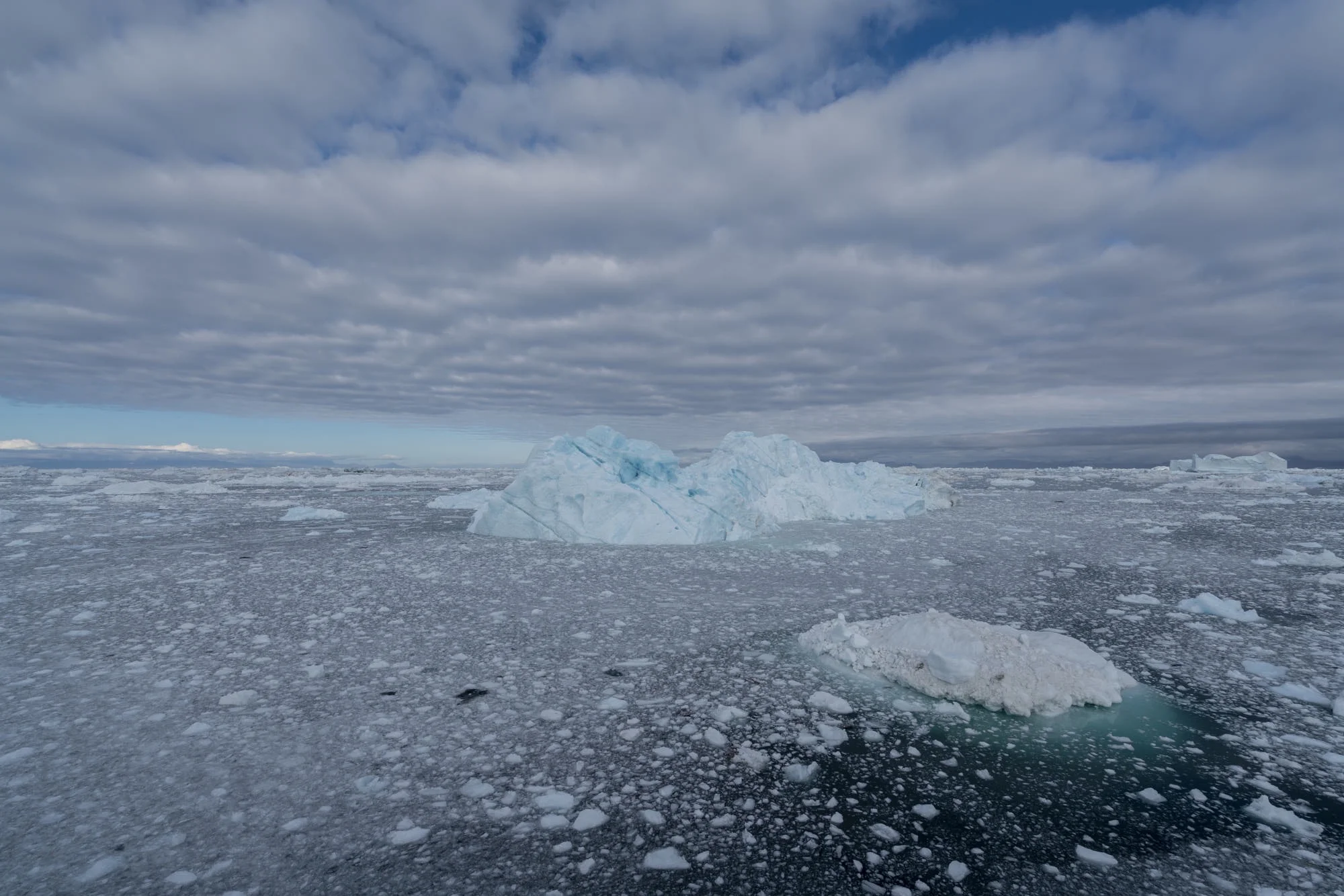Where The Icebergs Come From