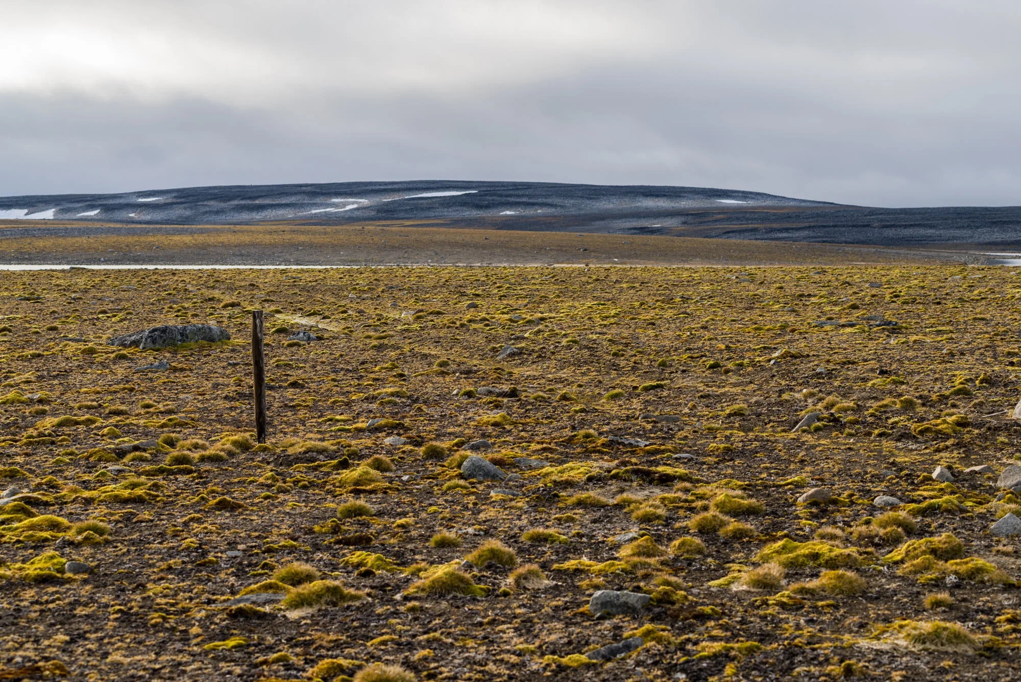 No Man's Land