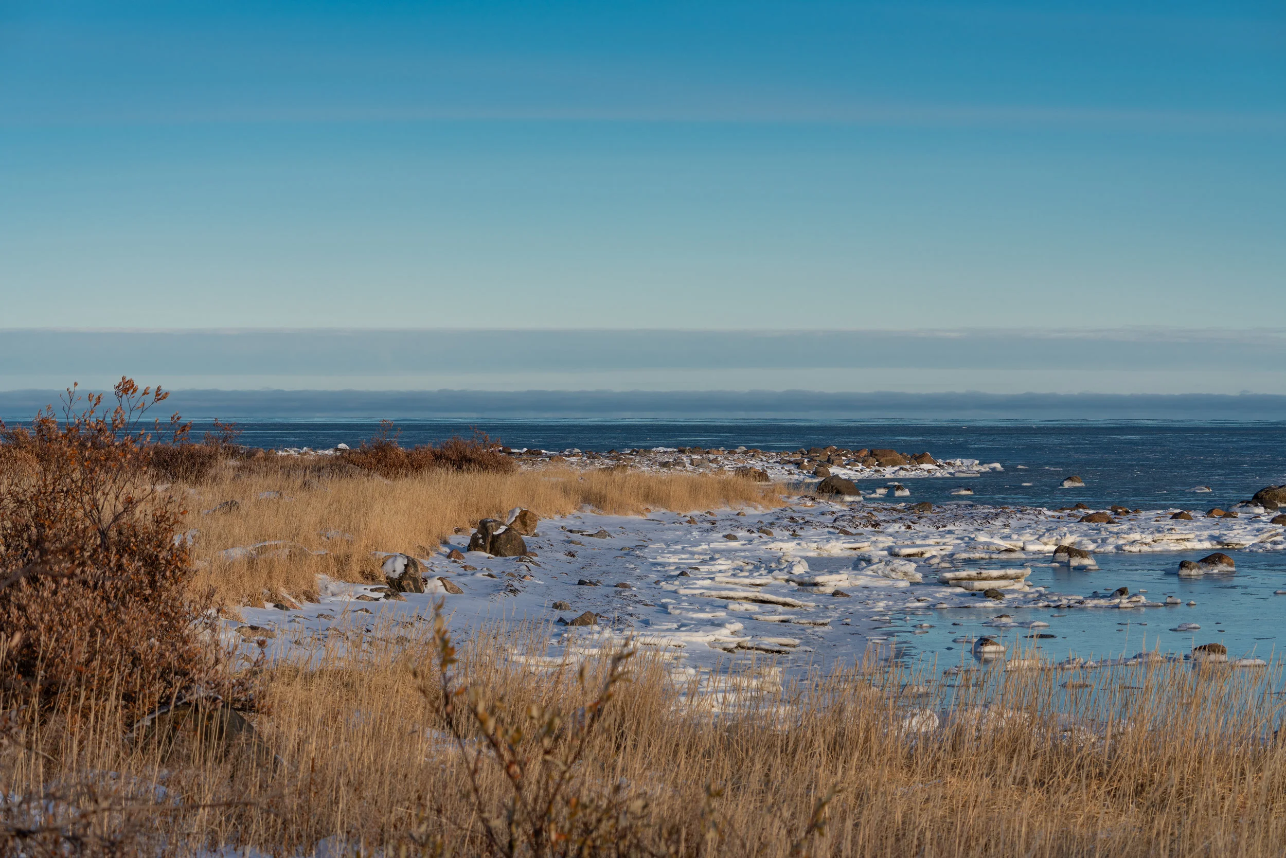 Shoreline
