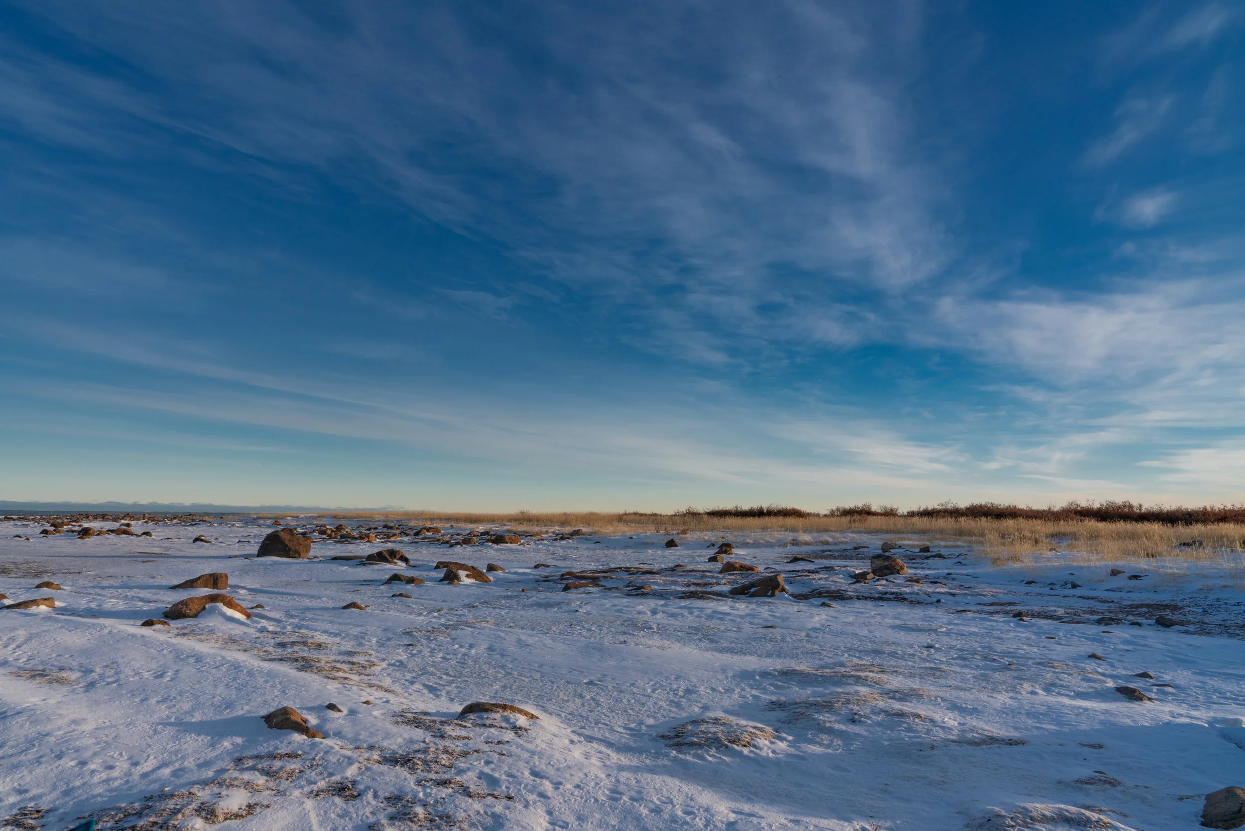 Arctic Beach