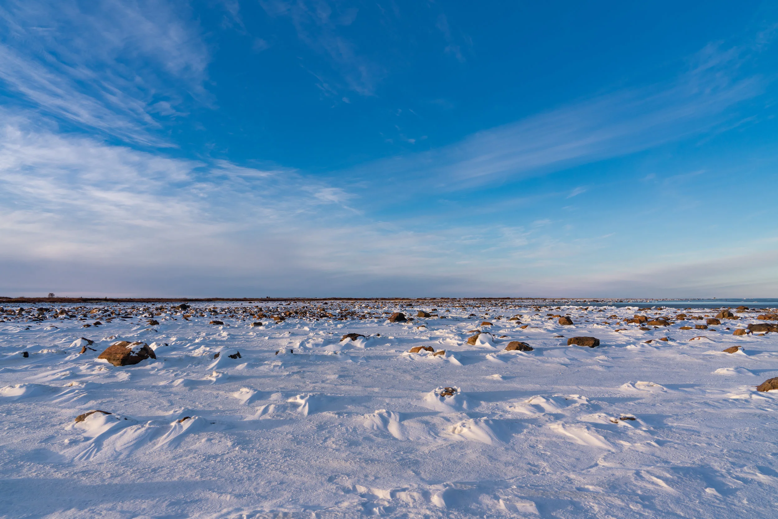 Arctic Afternoon