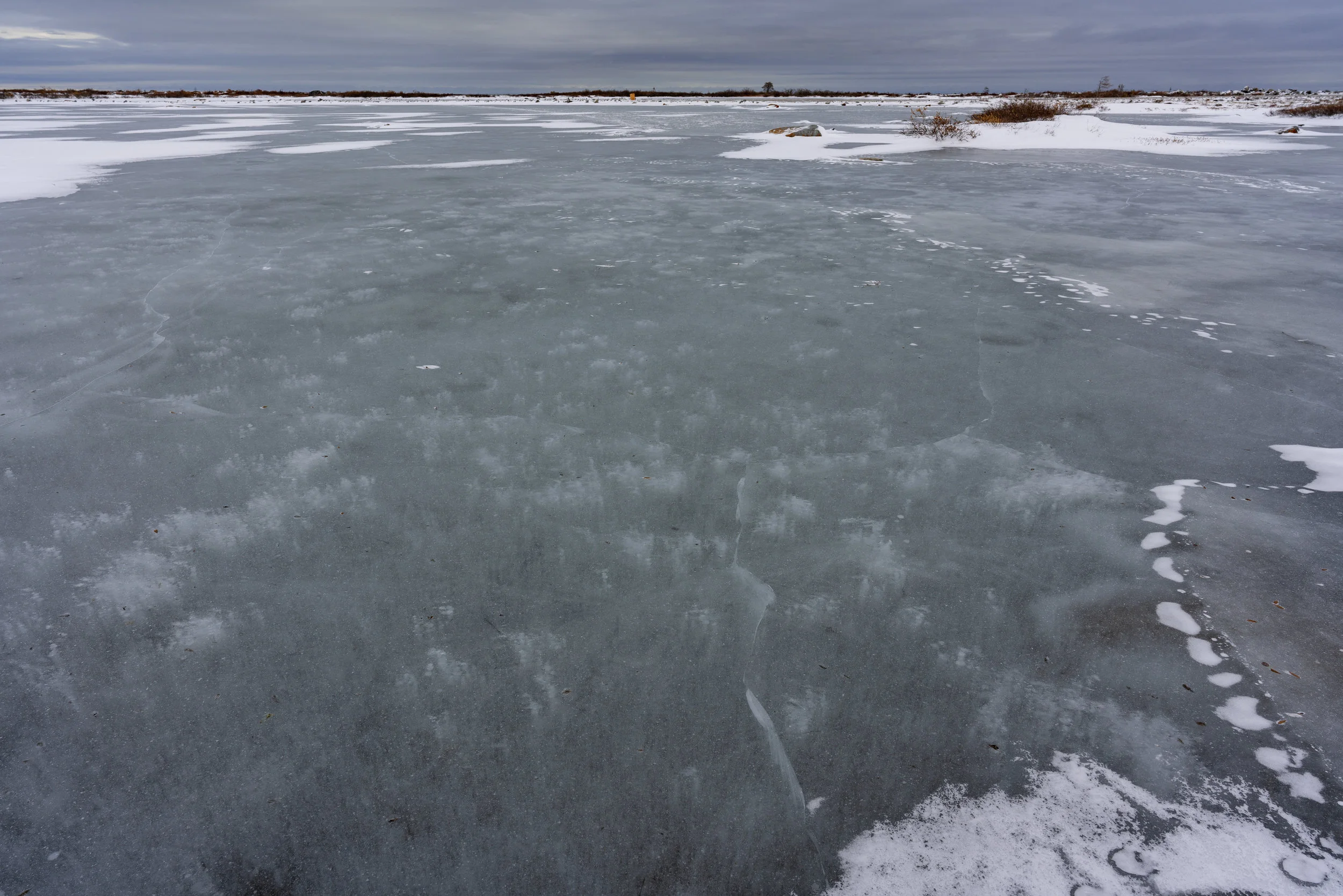Frozen