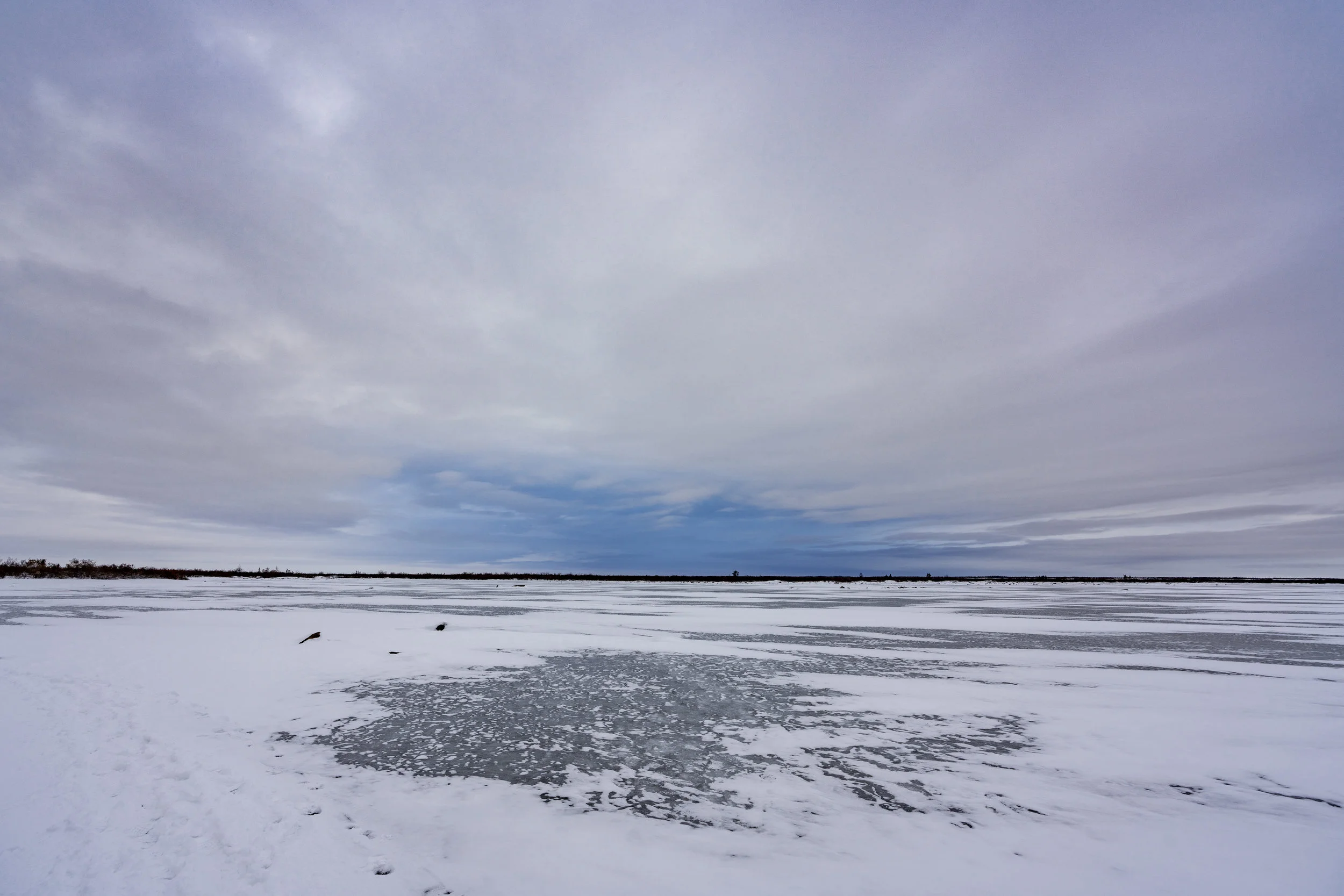 Welcome To The Arctic