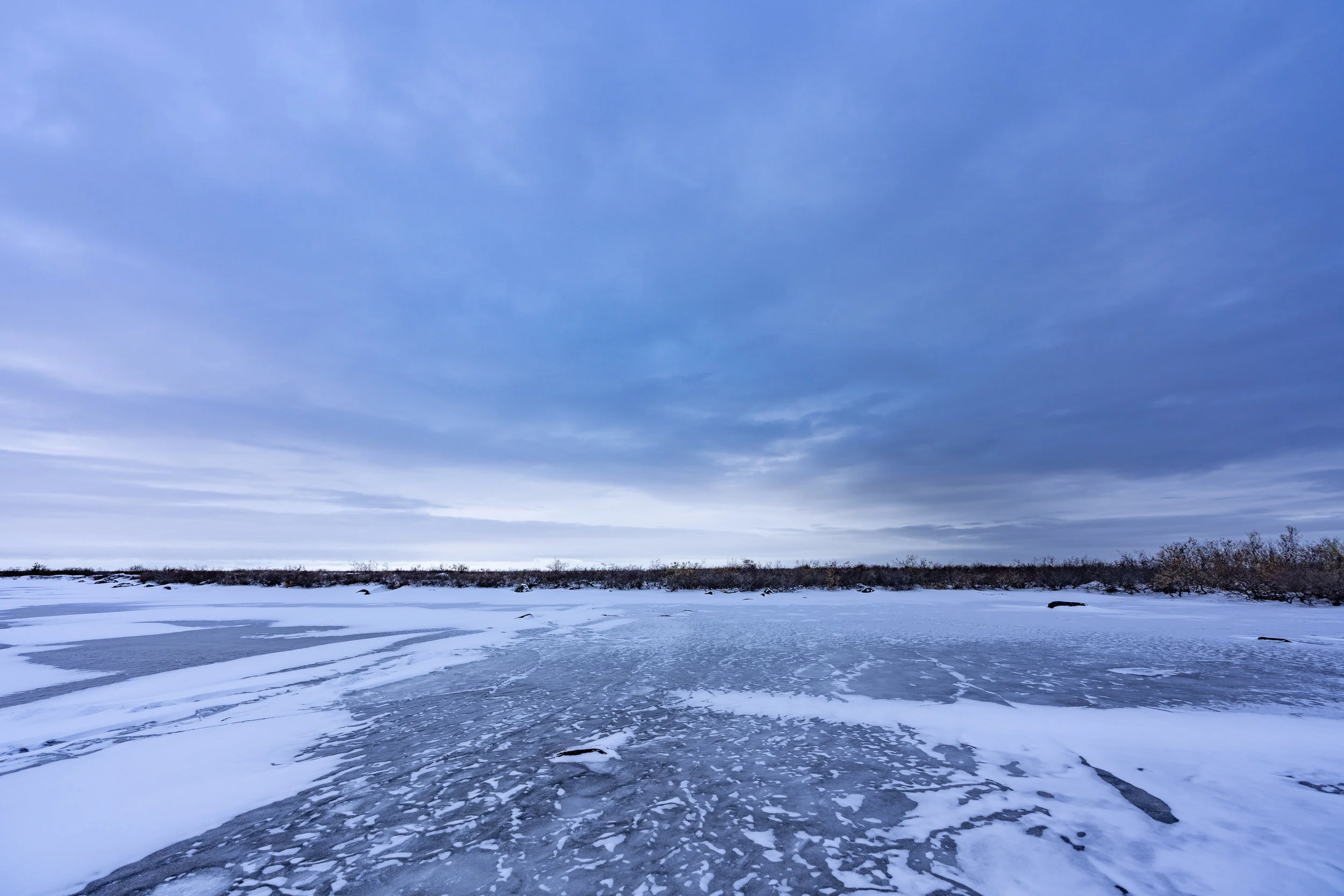 Arctic Blue