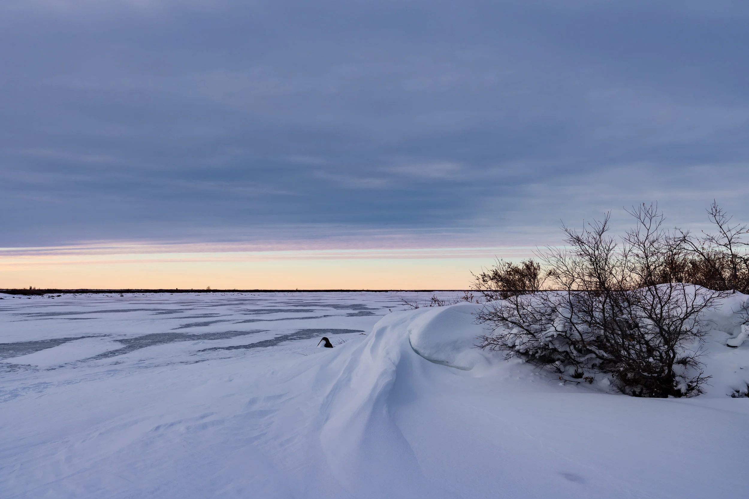 Arctic Bliss