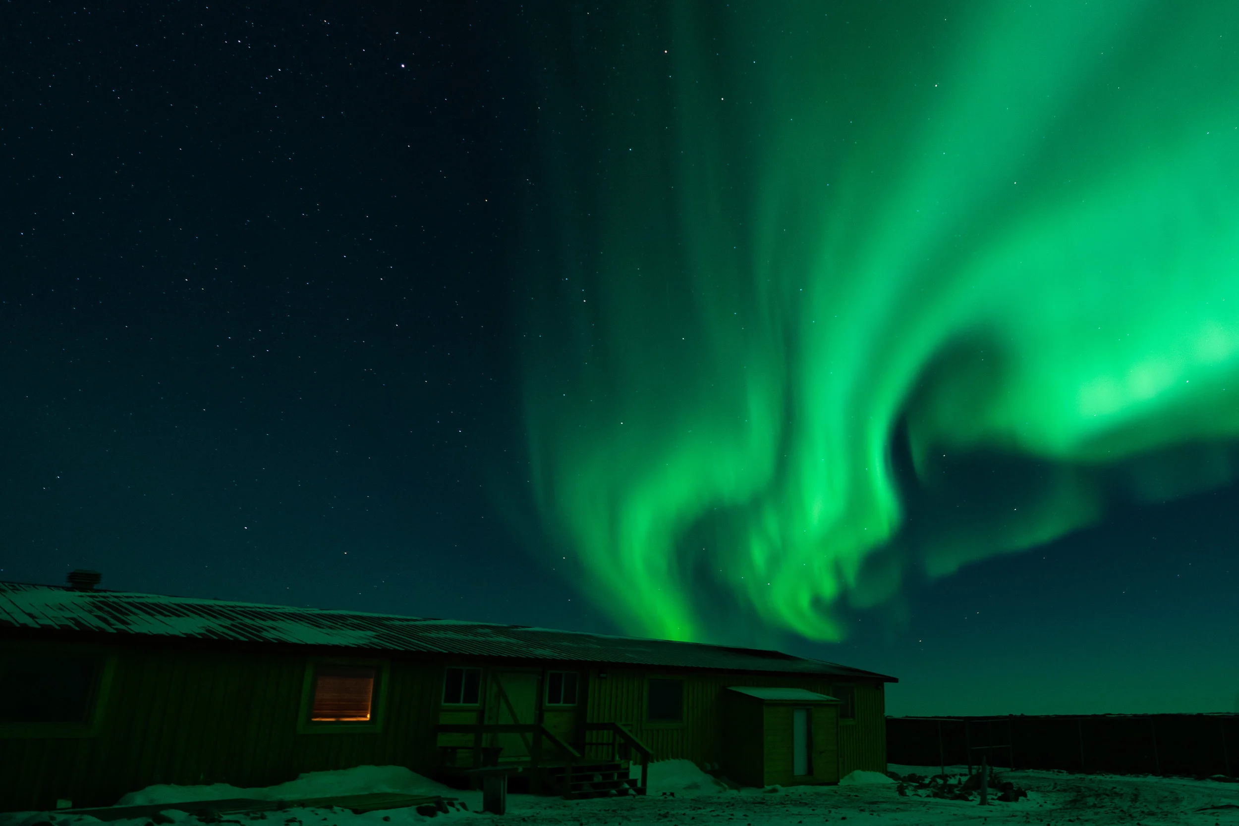 Arctic Dance
