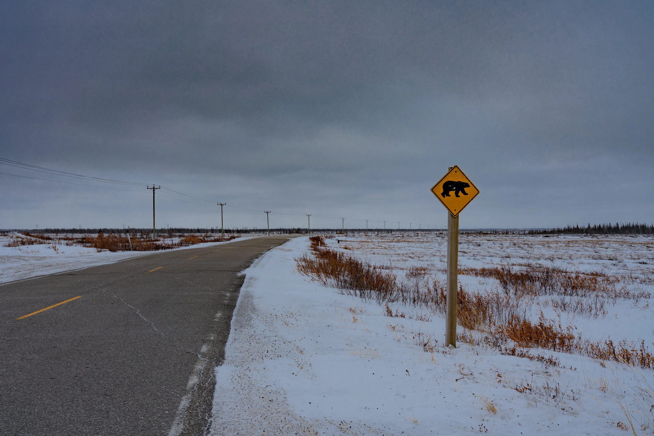 Beware Of Bears