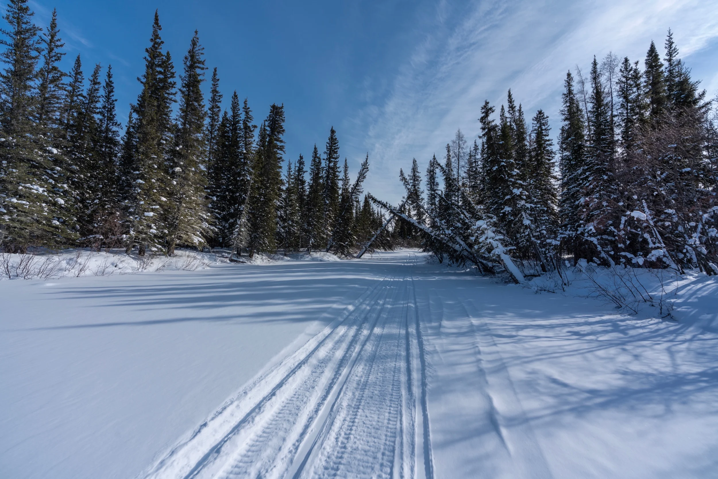Winter Wonderland