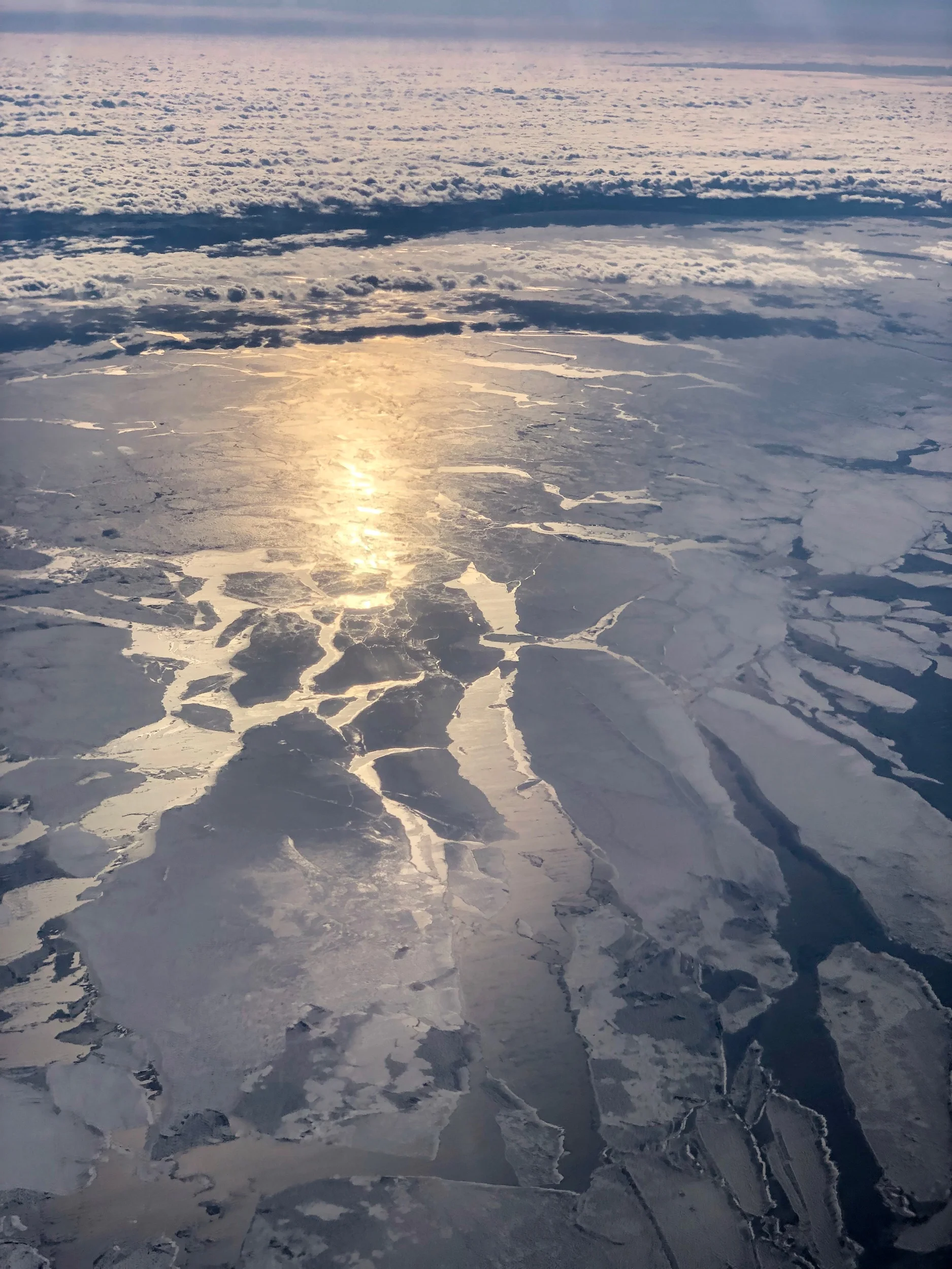 Arctic Waters