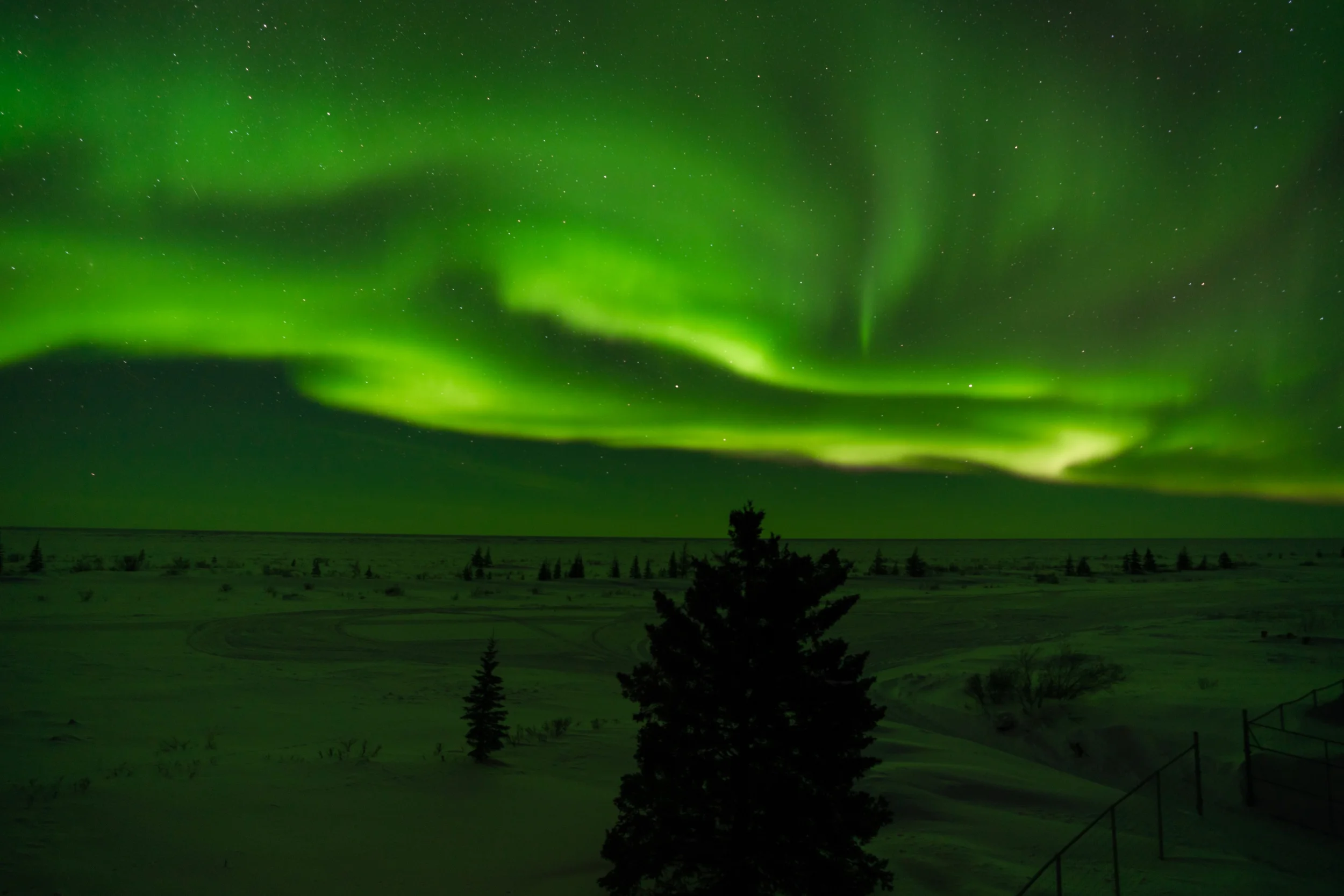 Aurora Borealis