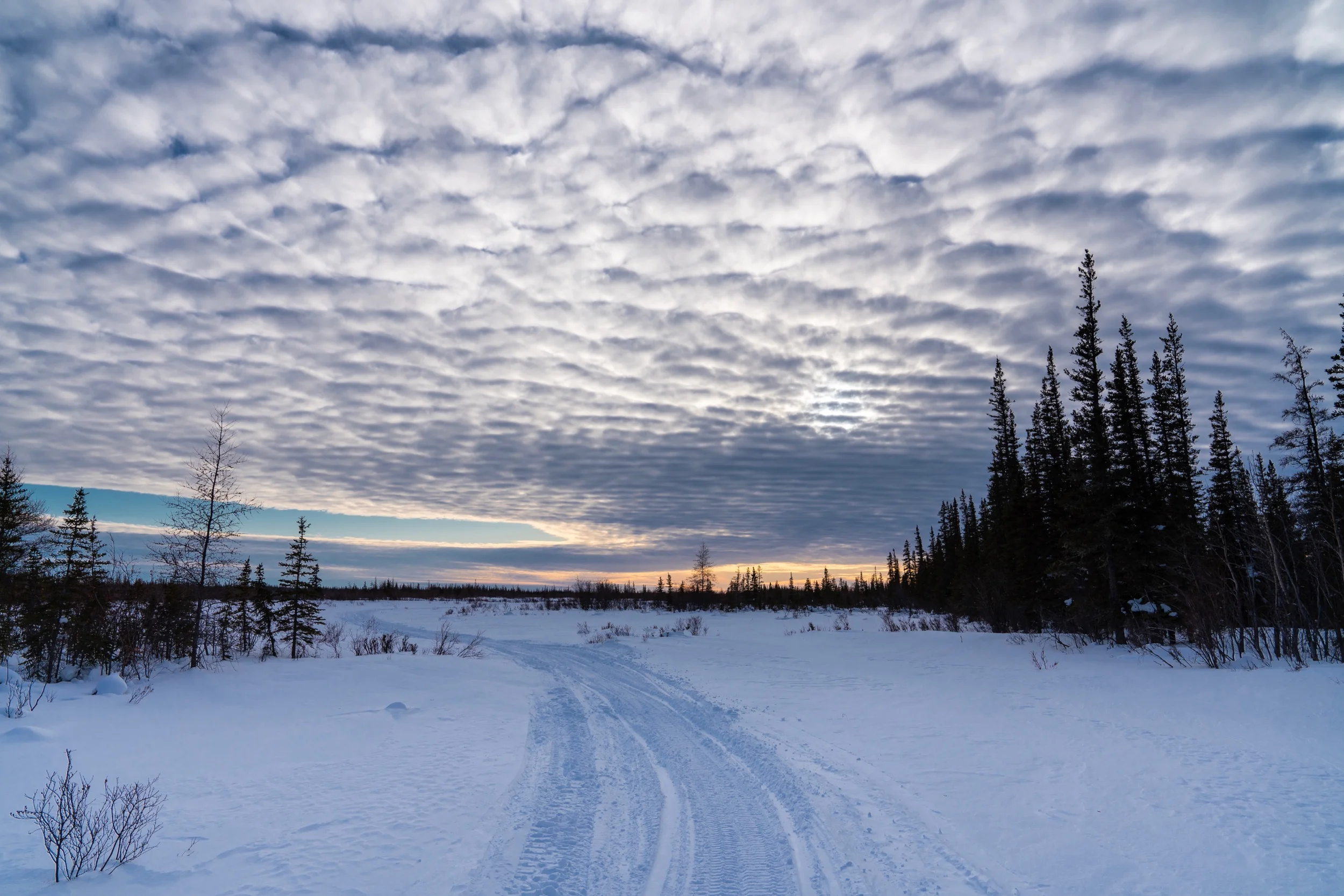 Fleecy Clouds
