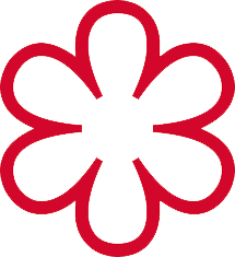 2017 - 2025