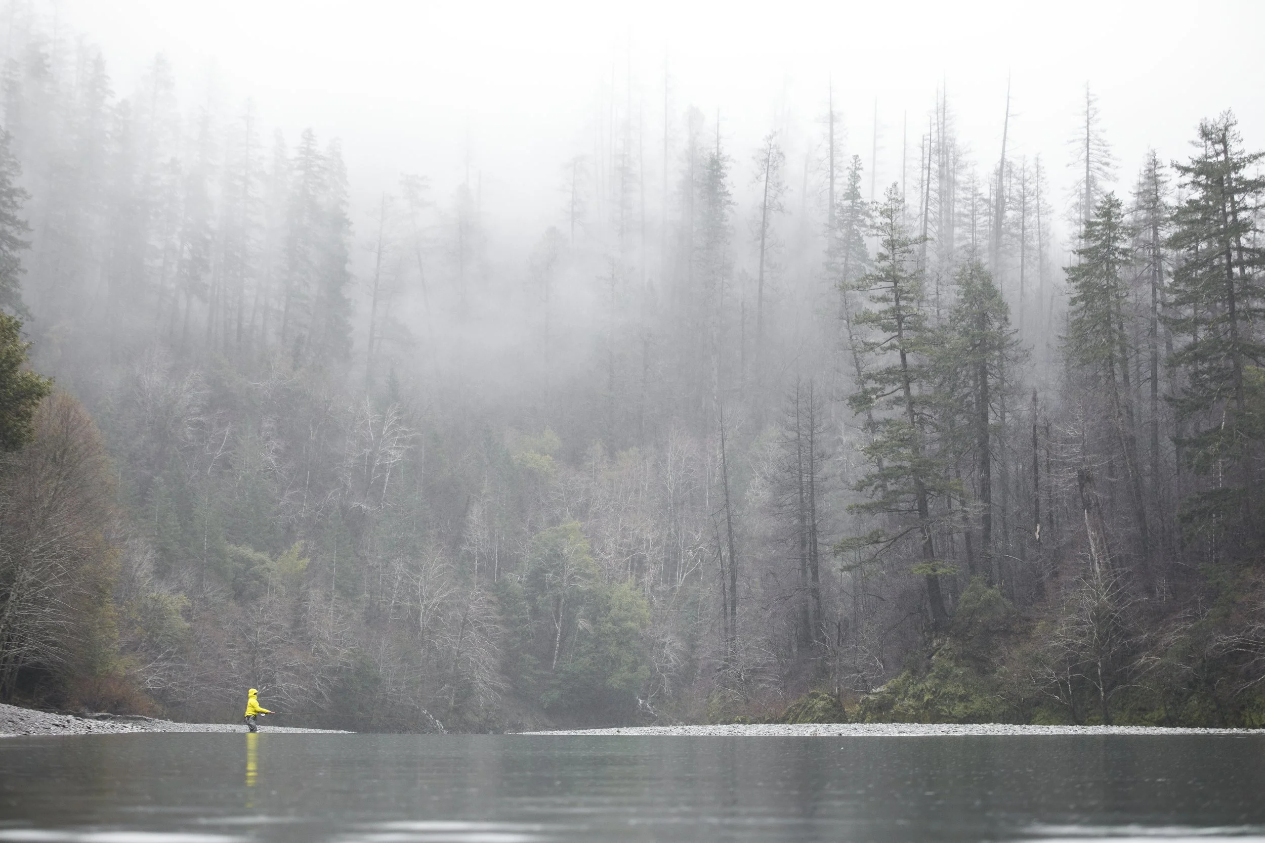 Steelhead Chet-4_.jpg