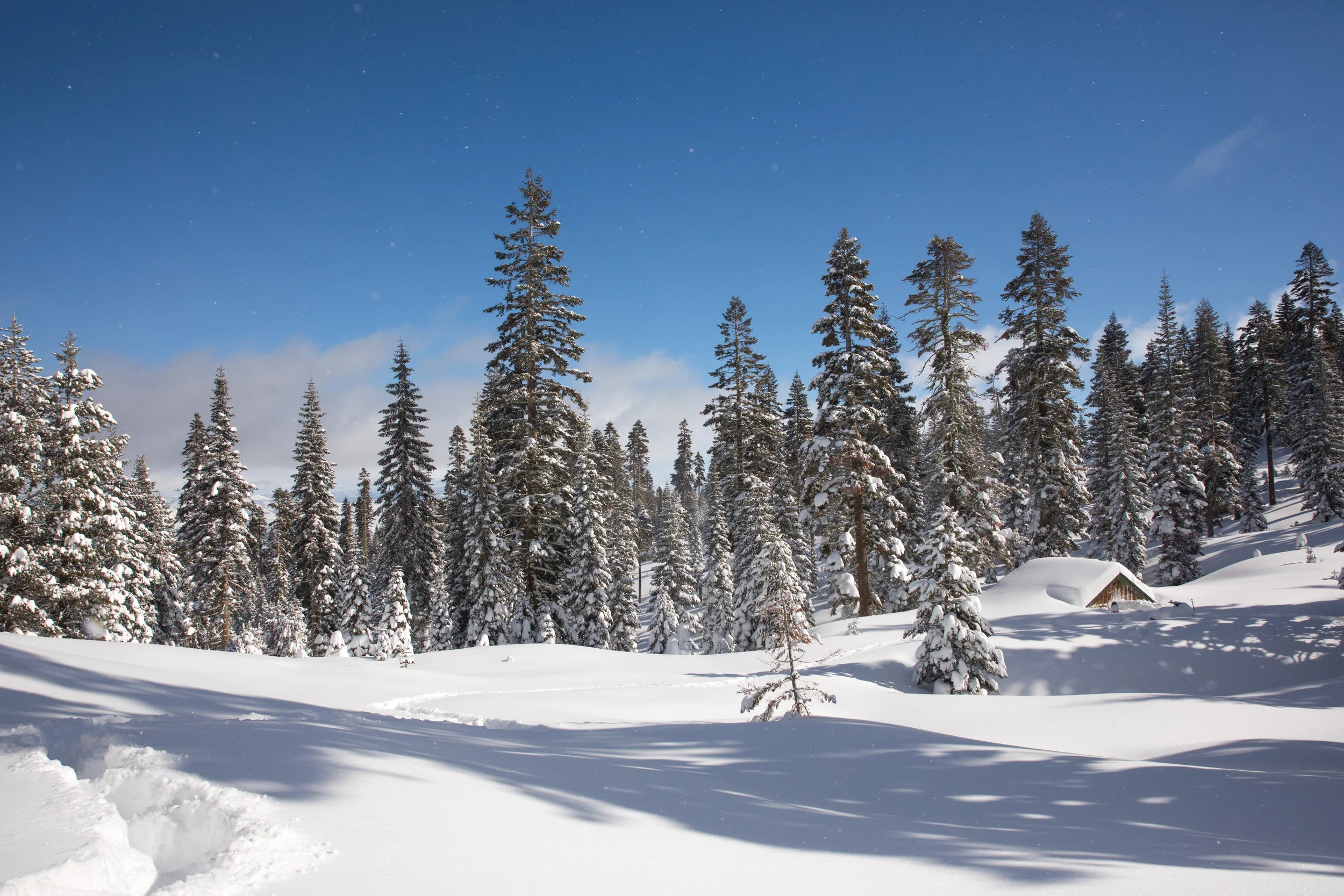 CabinFun_JH_2-9-19-26.jpg