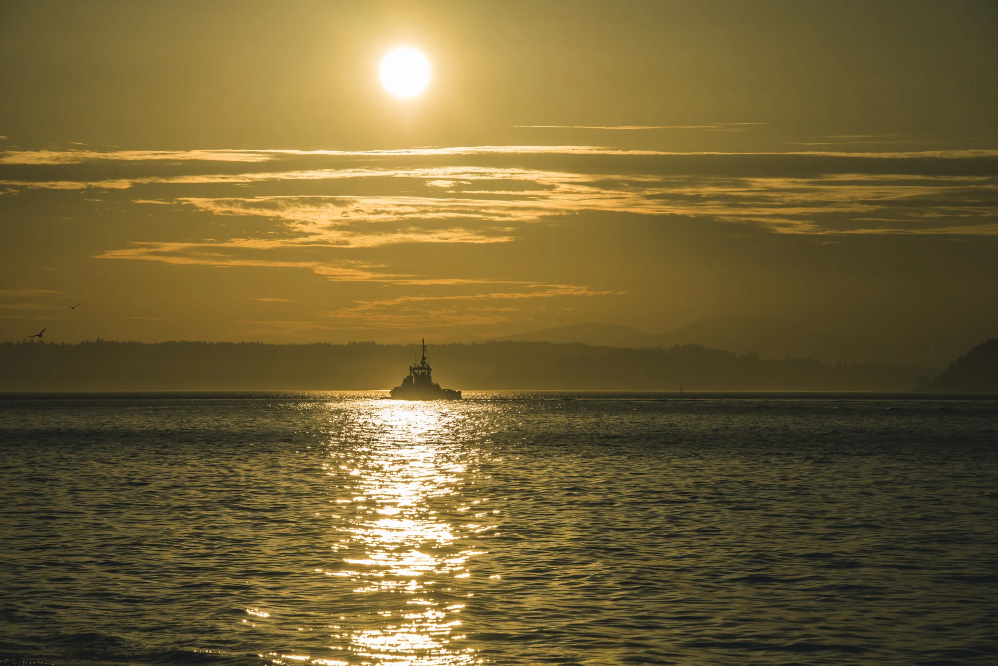 Alki_October_2014-31.jpg