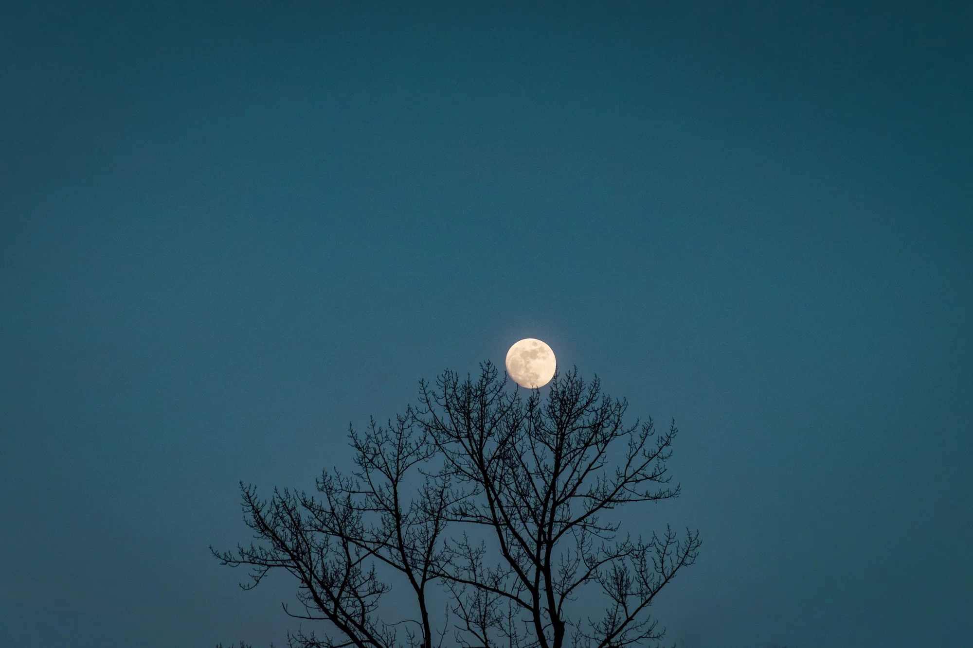 Samm Wetland Pond 2016_02_20-6.jpg