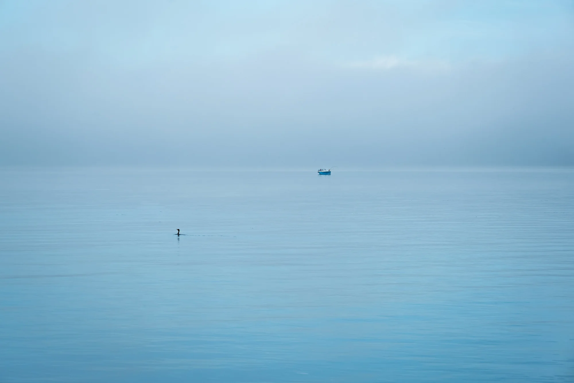 Kirkland 2016_11_04-34.jpg