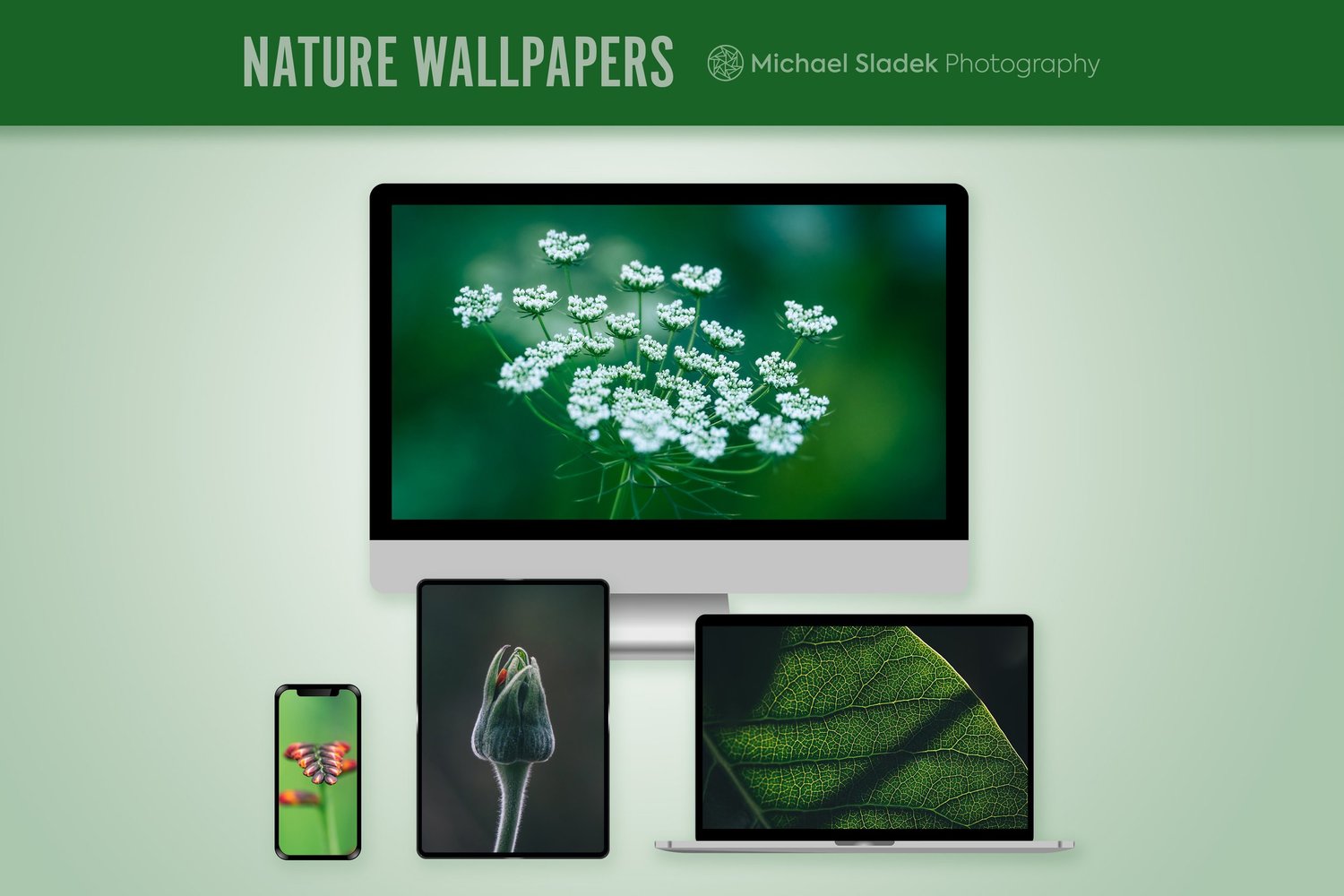 Wallpaper For Computer Sample Natural Wallpaper For Desktop Computer