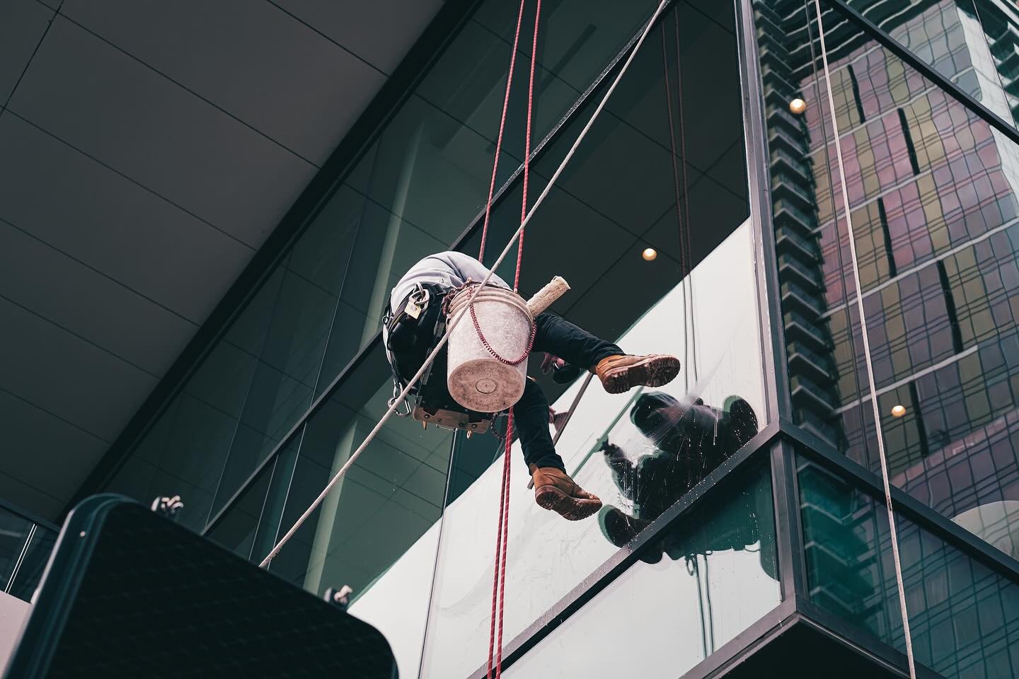 Hanging out in Bellevue. More at the YouTube video link in bio 📽️
.
.
.
.
.
#xh2s #xf33mm #fujifilm #fujifilmusa #fujifeed #myfujifilm #fujifilm_northamerica #lightroom #fujilove #FujifilmX_US #FujifilmX_Seattle #myfujilegacy #streetphotogrqphy #bel