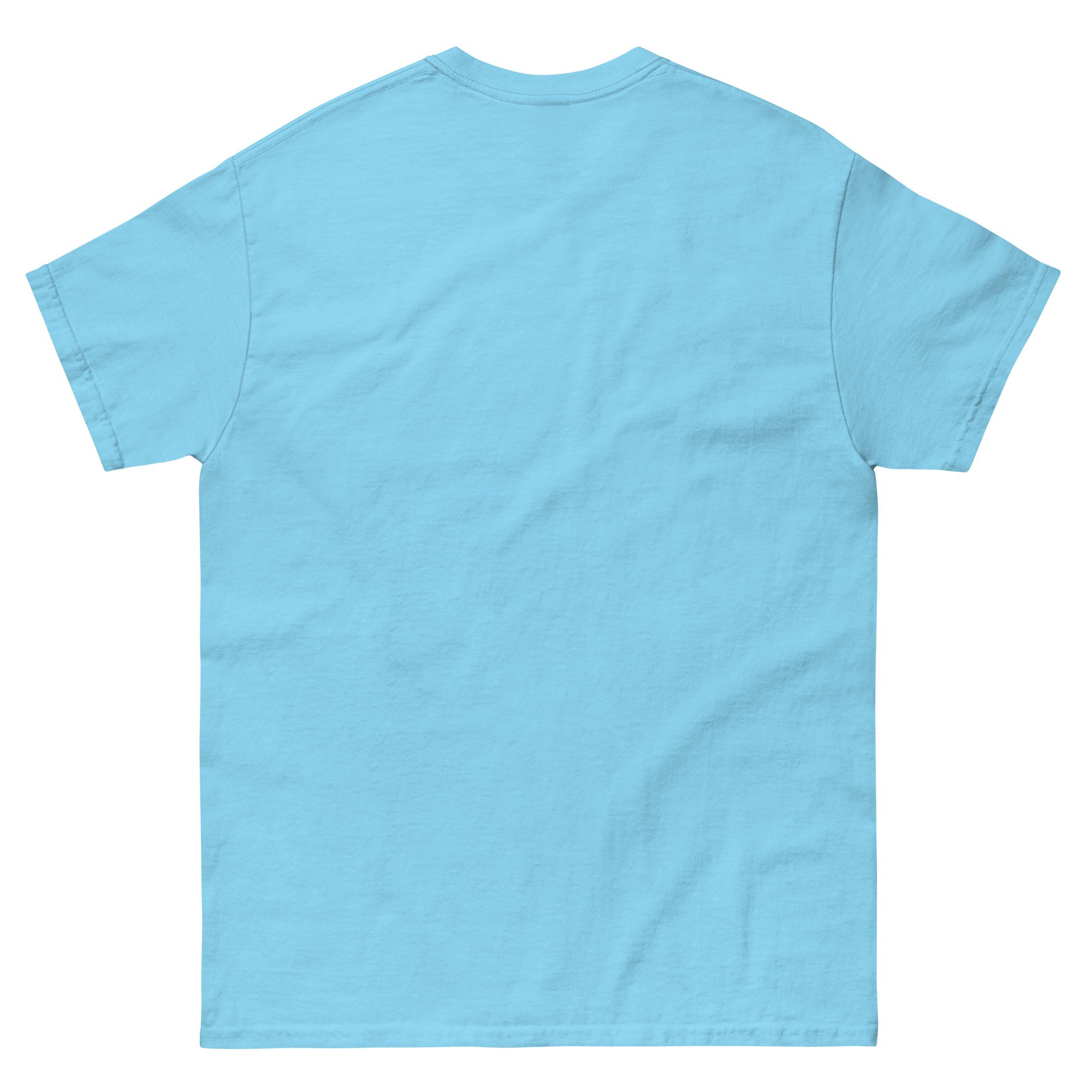 unisex-classic-tee-sky-back-6a75ce620662f.jpg