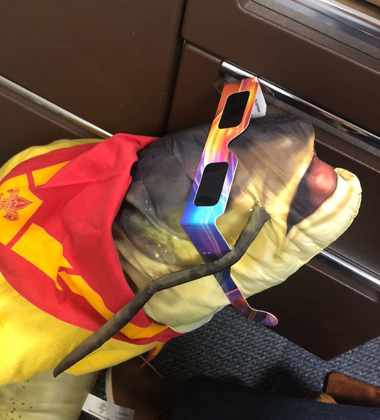 A quick safety moment from Franc&oacute;is the fish!

For anyone viewing the solar eclipse today, we want to make sure you are able to see the splendor that is Ma-Ka-Ja-Wan this summer, so PLEASE only look at the sun through proper viewing glasses.

