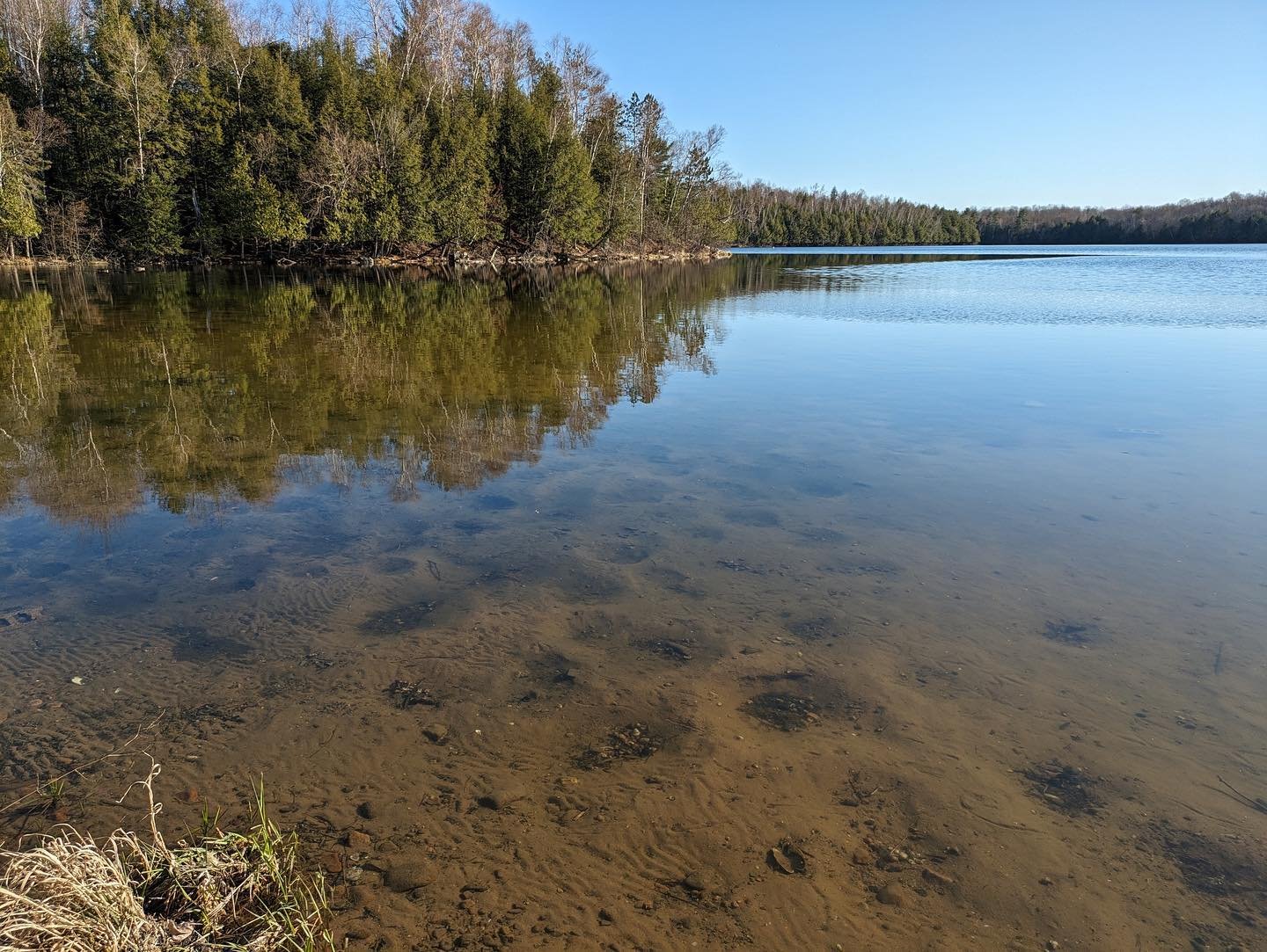 🎶*Whistles the Andy Griffith Theme*🎶 
Spring is springing at Ma-Ka-Ja-Wan! Ranger Rory took this picture of fish nests in Lake Killian. Maybe you&rsquo;ll catch (and release) one of these future fishies this summer! 
#makajawan #95yearsyoung #neic 