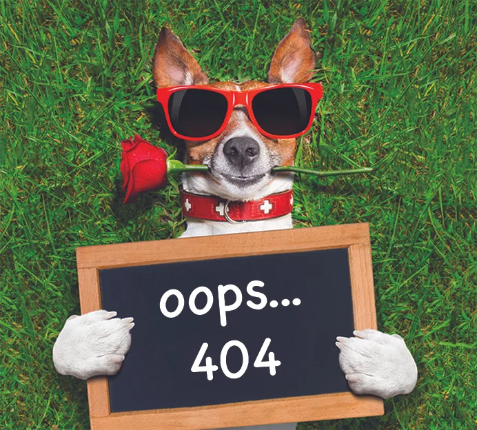 404_Dog.jpg
