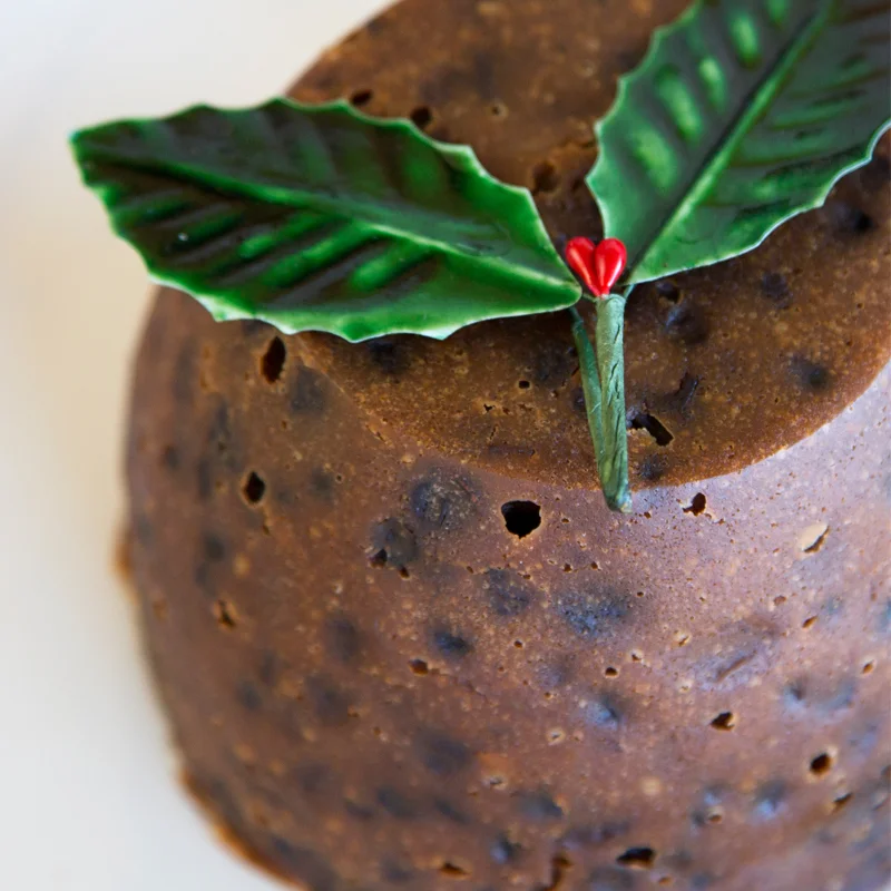 Pudding_Close-up.jpg