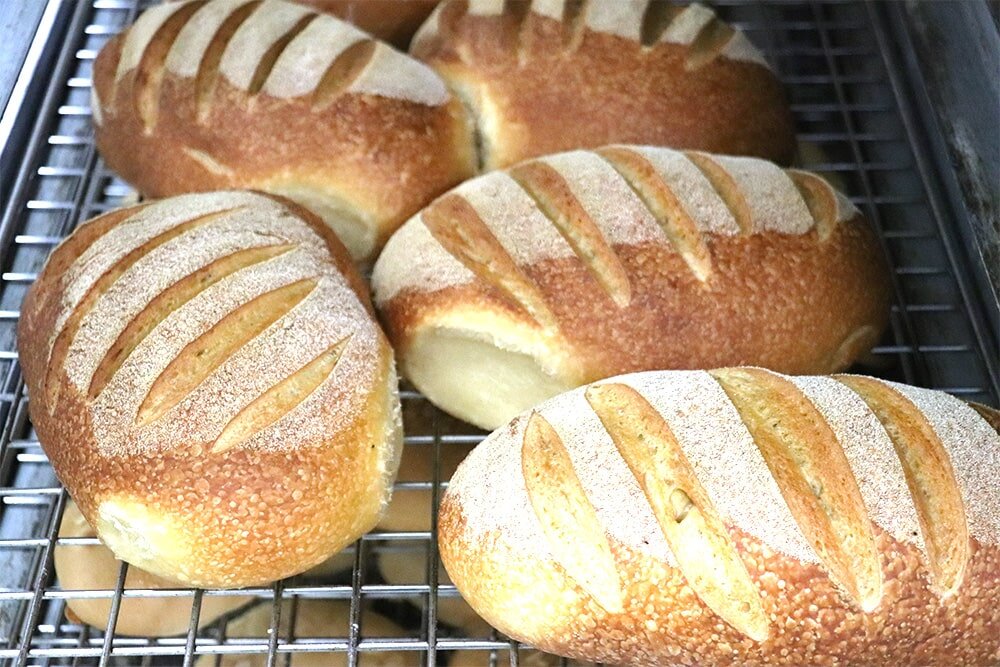 Sourdough loaves.jpg