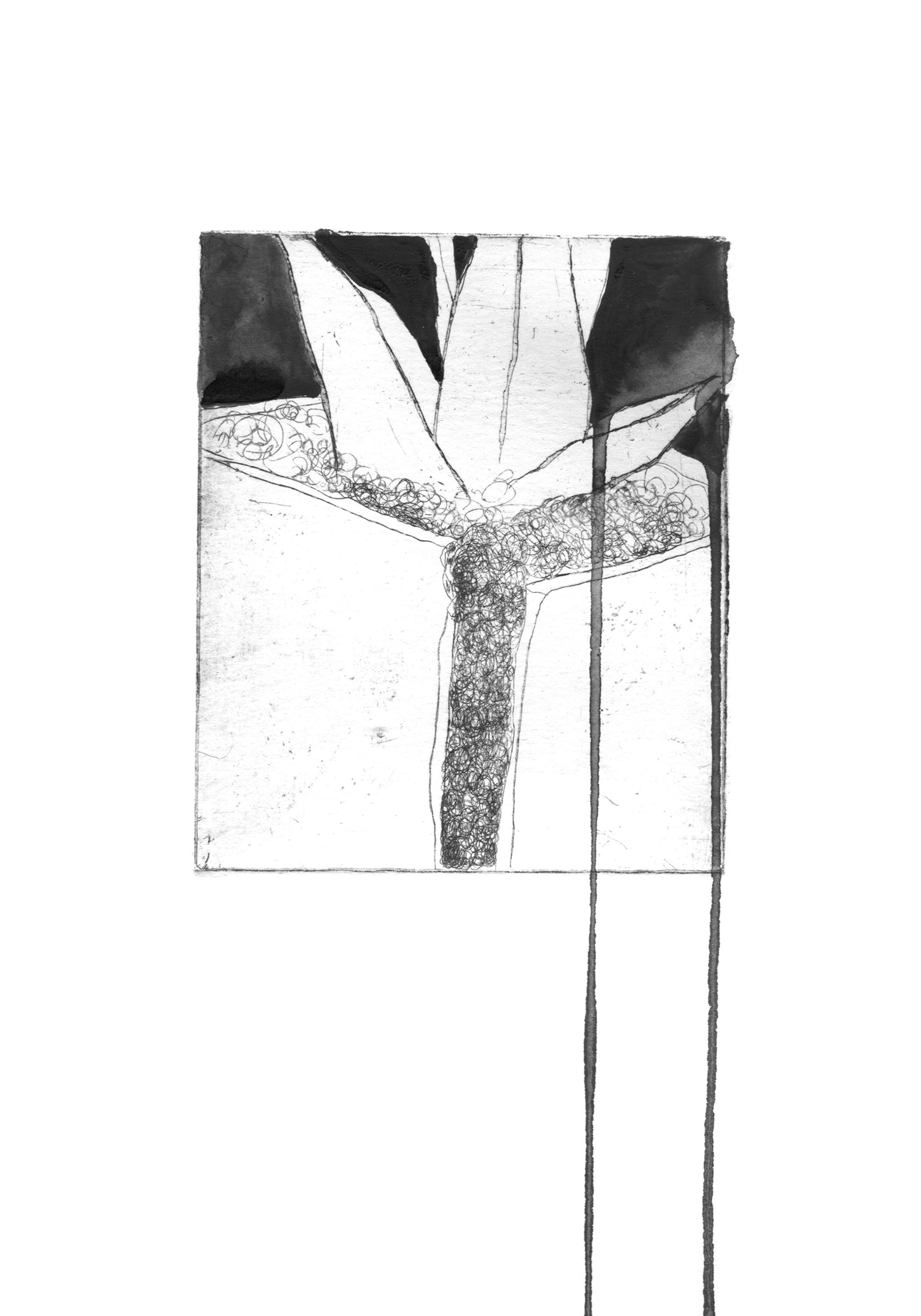 Pot6.jpg