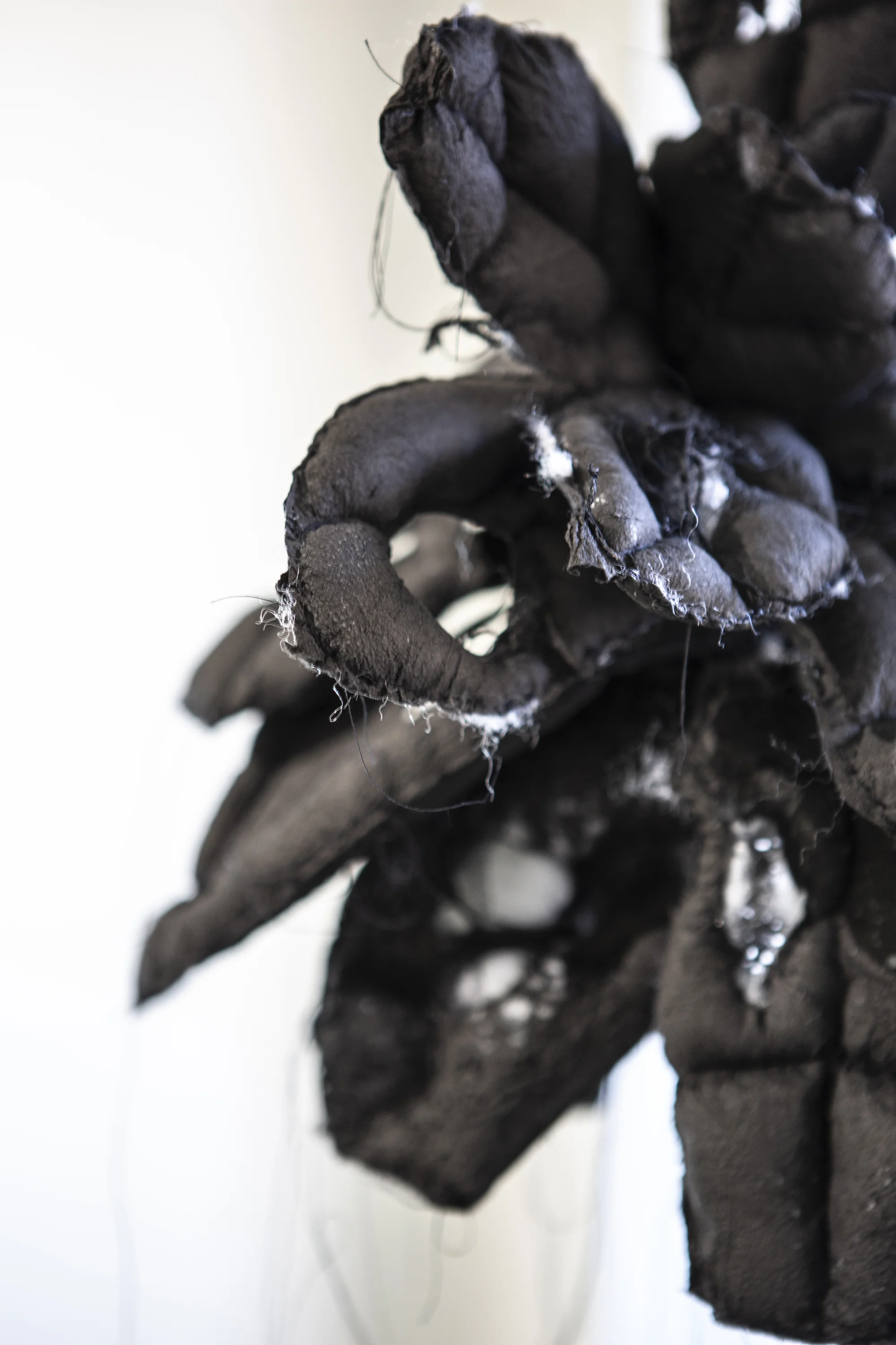 190325_YunaKim_Black_02_Web.jpg