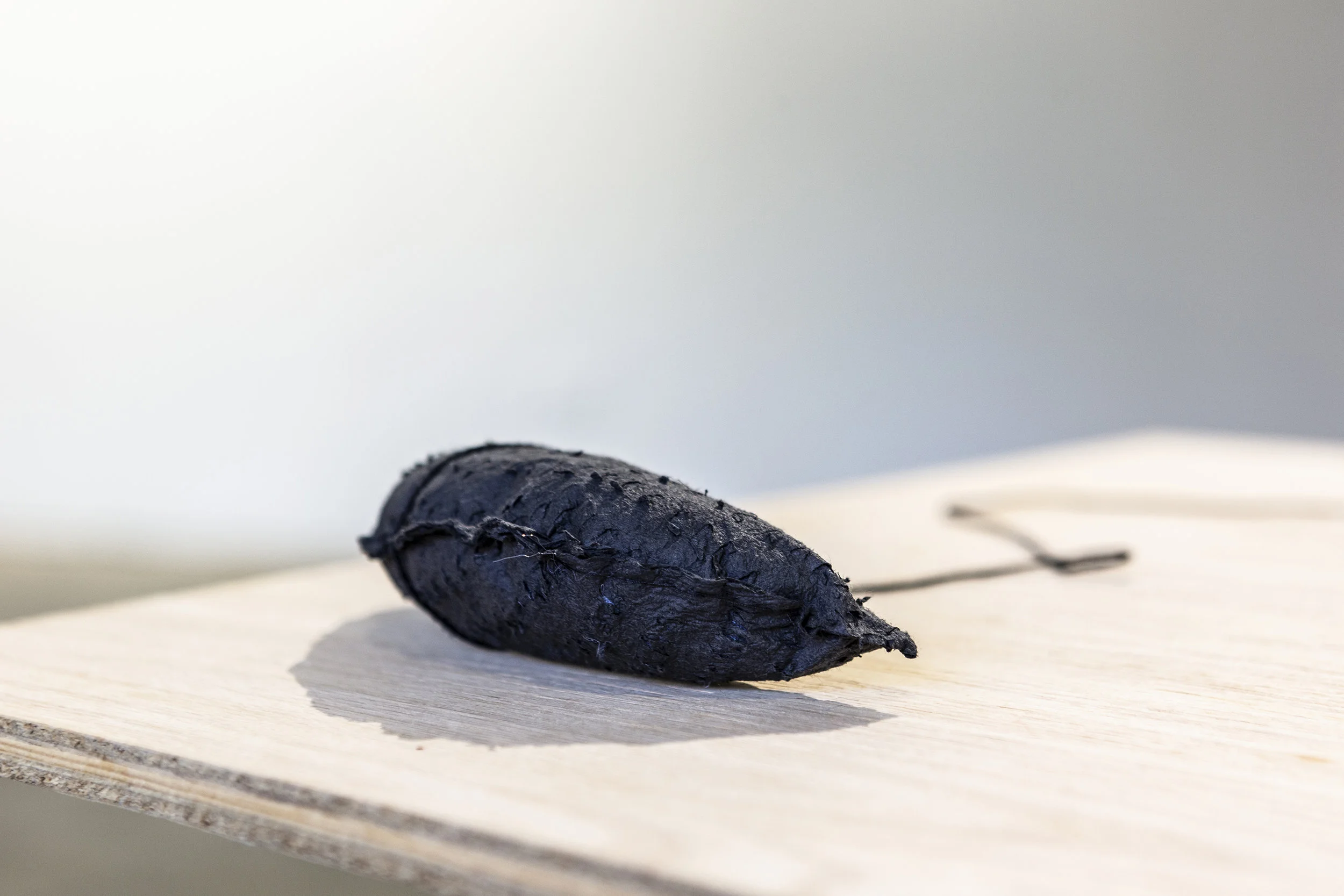 190325_YunaKim_Black_10_Web.jpg
