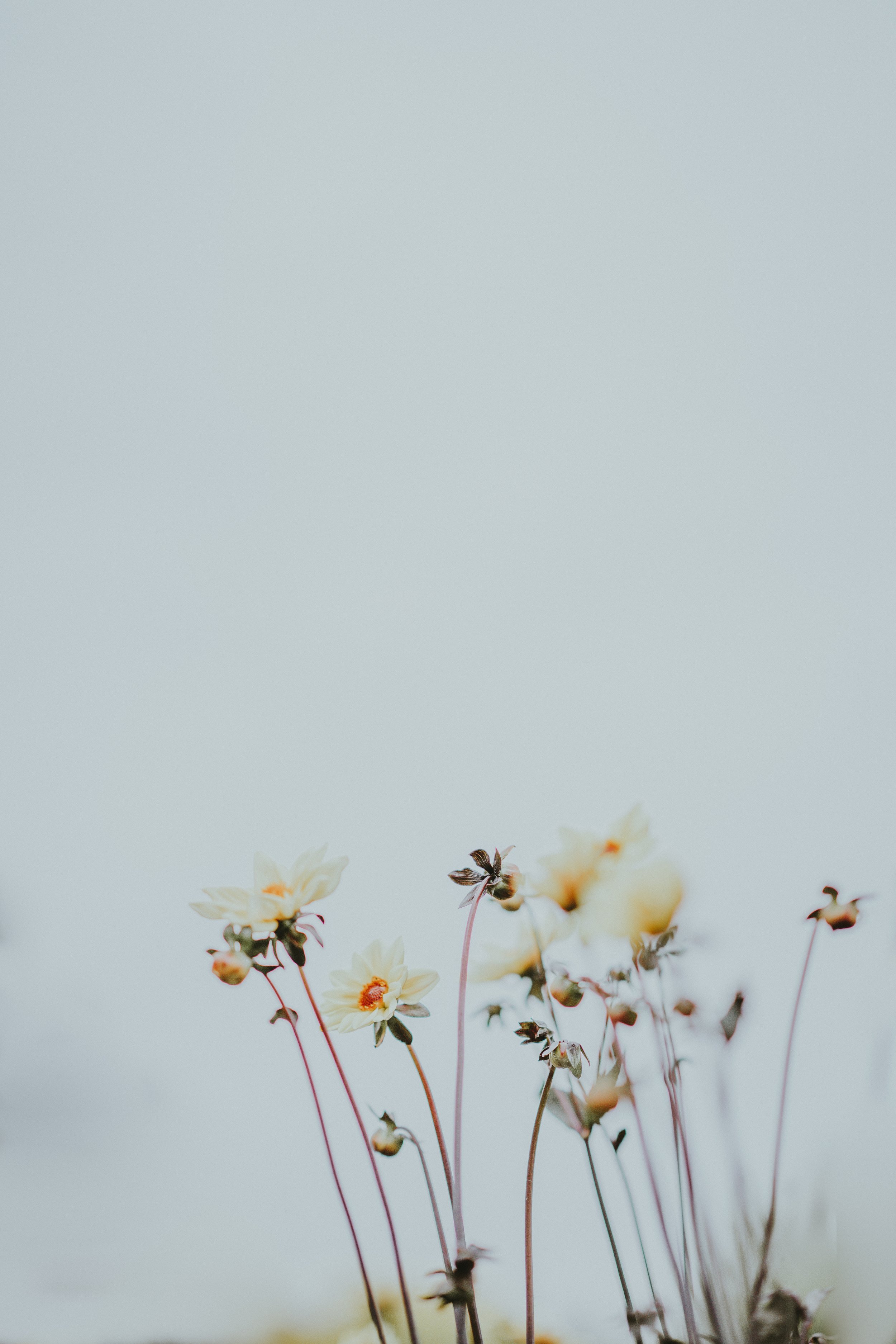 Attachment-1-1.jpeg