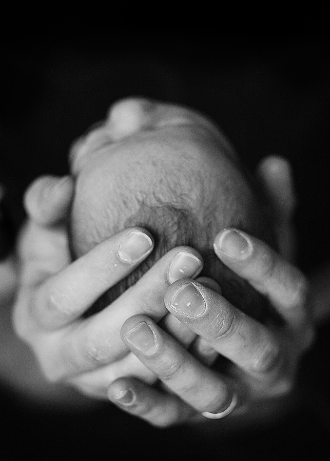 Terra_Jean_Creative_Portfolio_Image_WEB_Denton_2.jpg