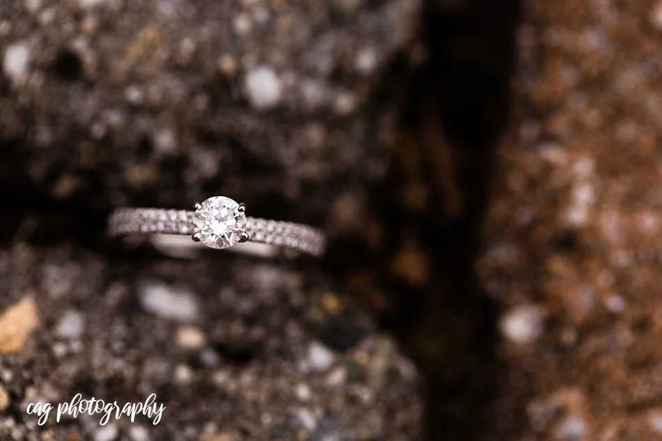 Sarah+Talon ENGAGED-100.jpg