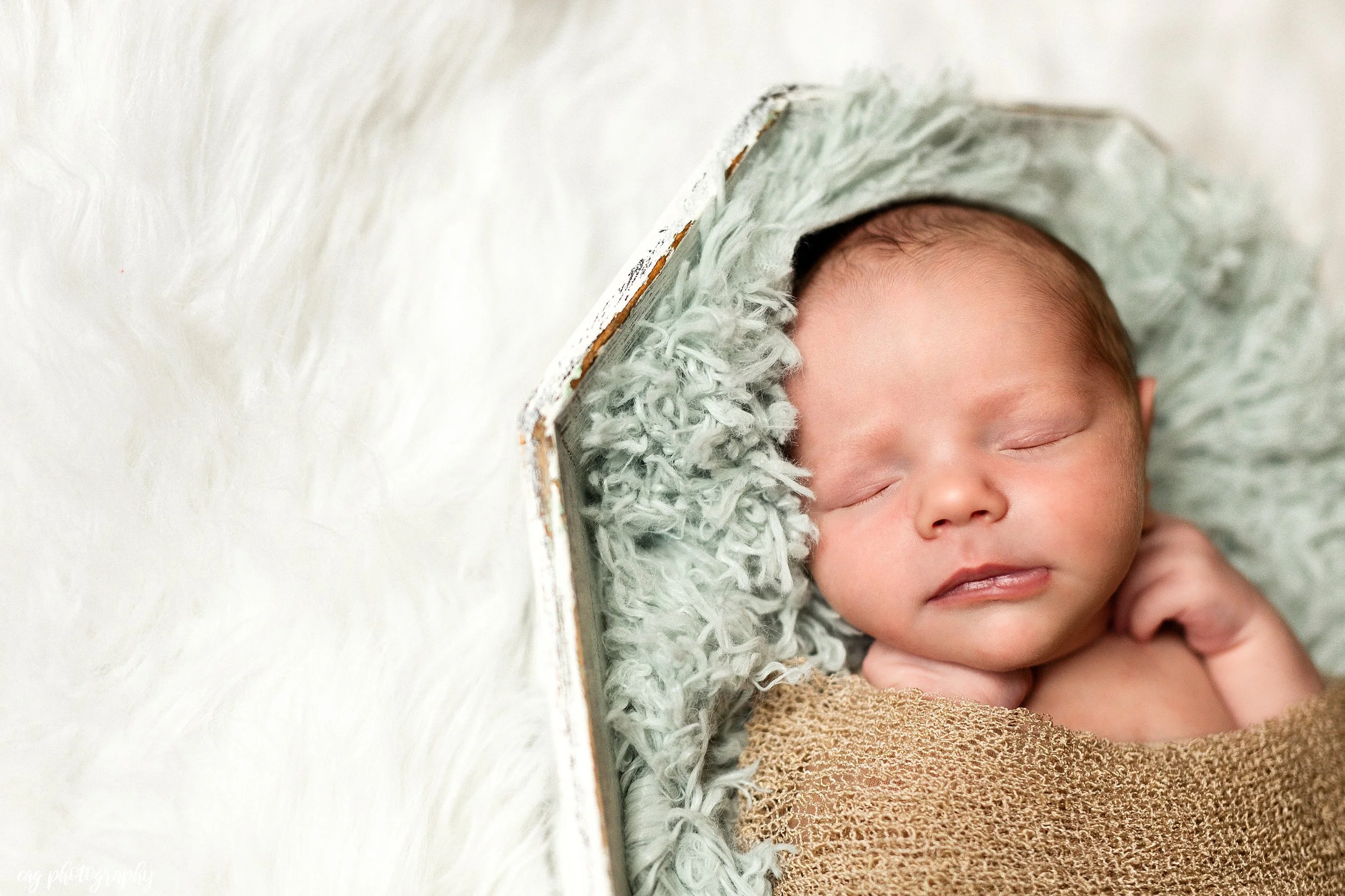 Baby Corbin: Green Lane, PA Newborn Photographer