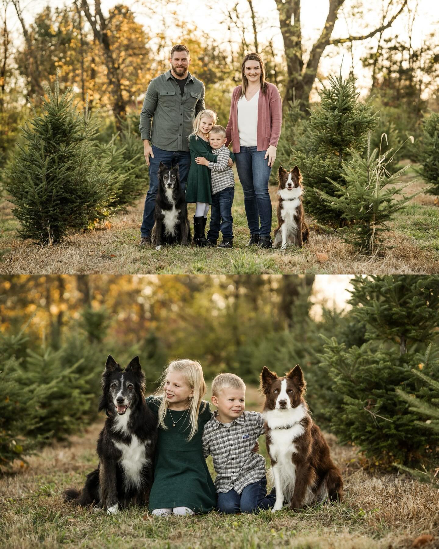 The Bove fam feat. Zain &amp; Trek 🌟🐾
.
.
.
.
#cagphotography
#cagportraits
#paphotographer 
#philadelphiaphotographer
#buckscountyphotographer
#berkscountyphotographer
#montgomerycountyphotographer 
#montcophotographer
#lehighvalleyphotographer 
#