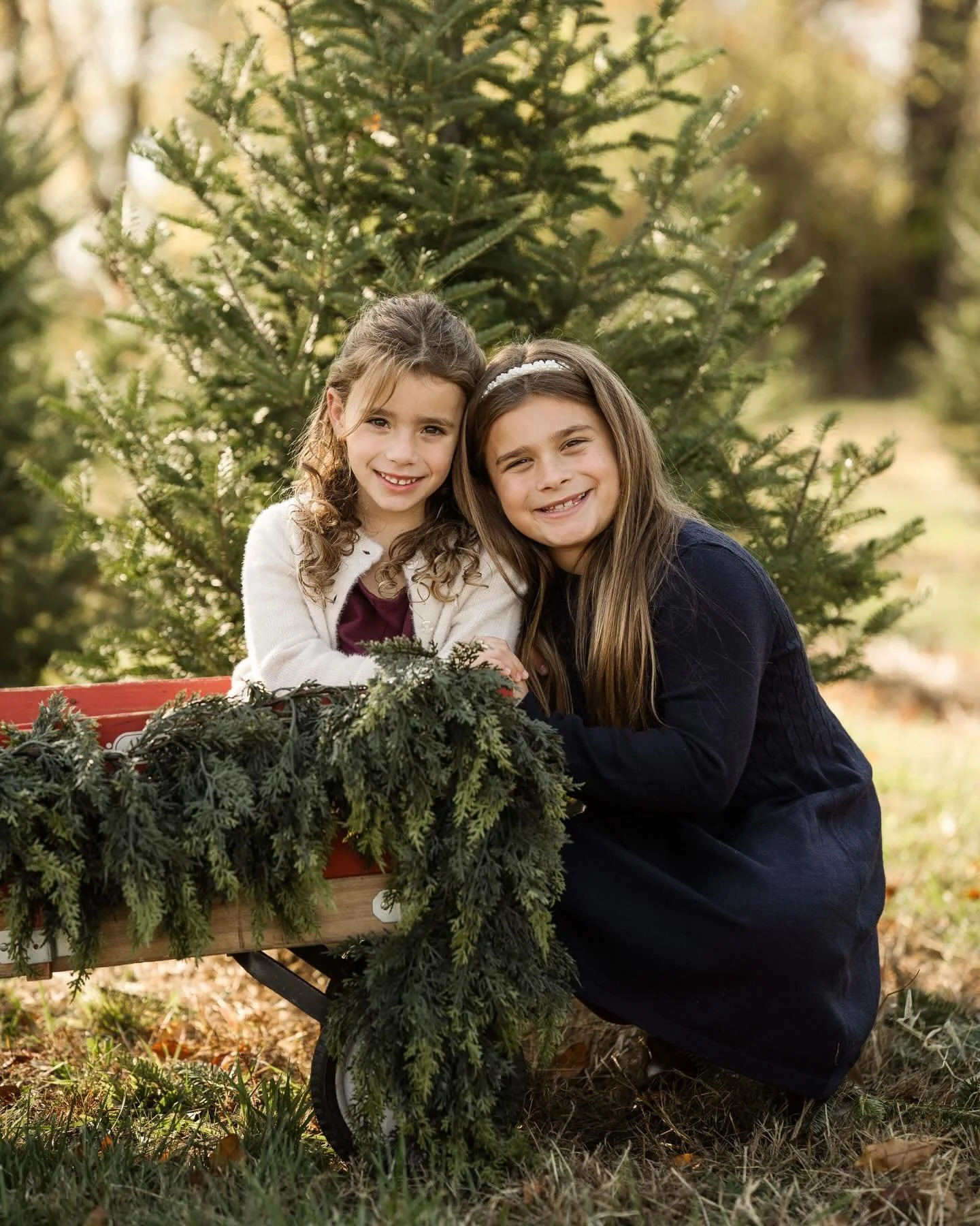 A sunny day at the tree farm with these two pretty chicas stealing the show ✨ 
.
.
.
.
#cagphotography
#cagportraits
#paphotographer 
#philadelphiaphotographer
#buckscountyphotographer
#berkscountyphotographer
#montgomerycountyphotographer 
#montcoph